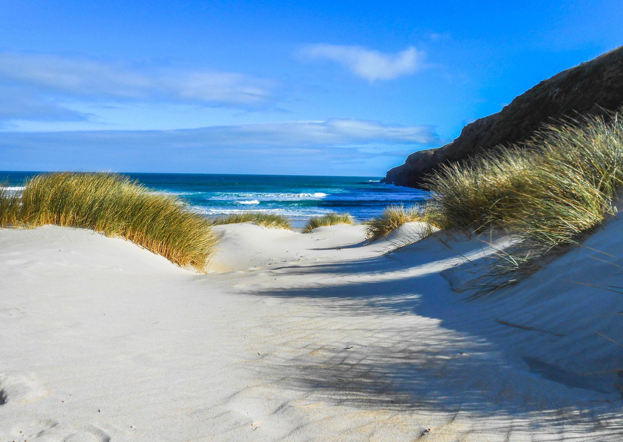 Nikon COOLPIX S4200 sample photo. Otago peninsula - new zealand photography