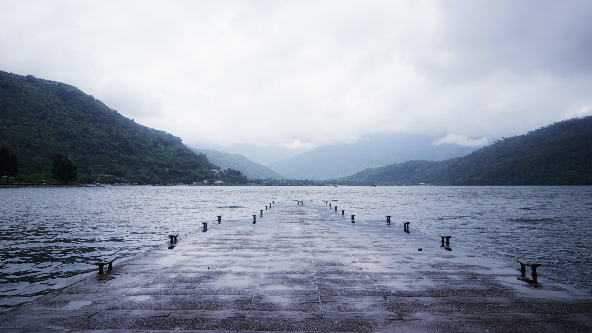 Sony FE 24-70mm F2.8 GM sample photo. Carp lake photography