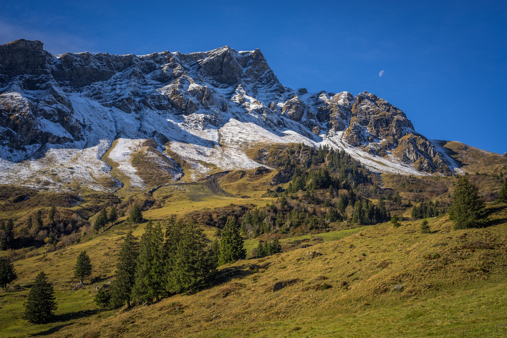 Sony a7R + Sony 70-400mm F4-5.6 G SSM sample photo. First snow photography