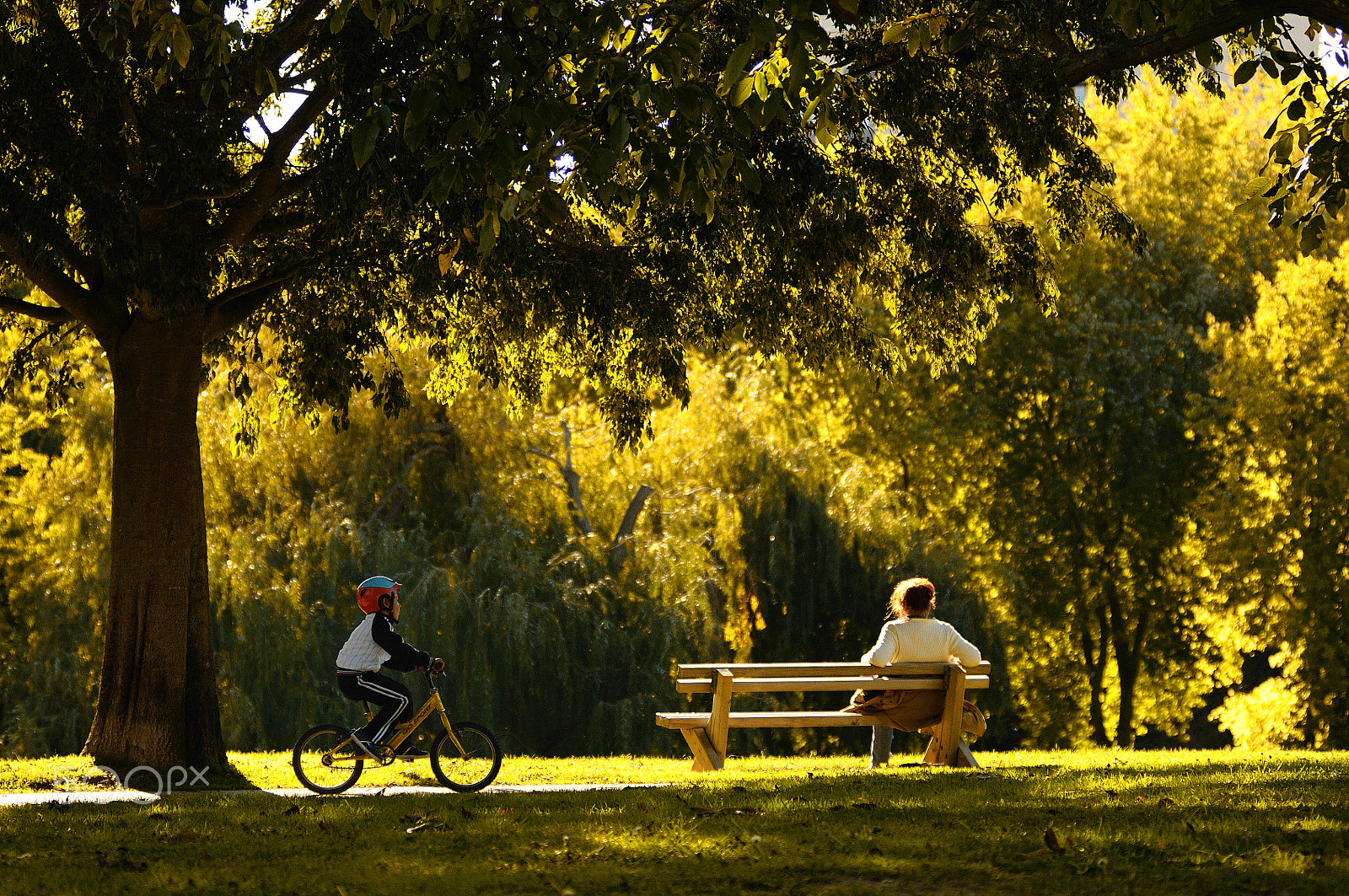 Nikon AF-Nikkor 80-200mm F2.8D ED sample photo. Au parc photography