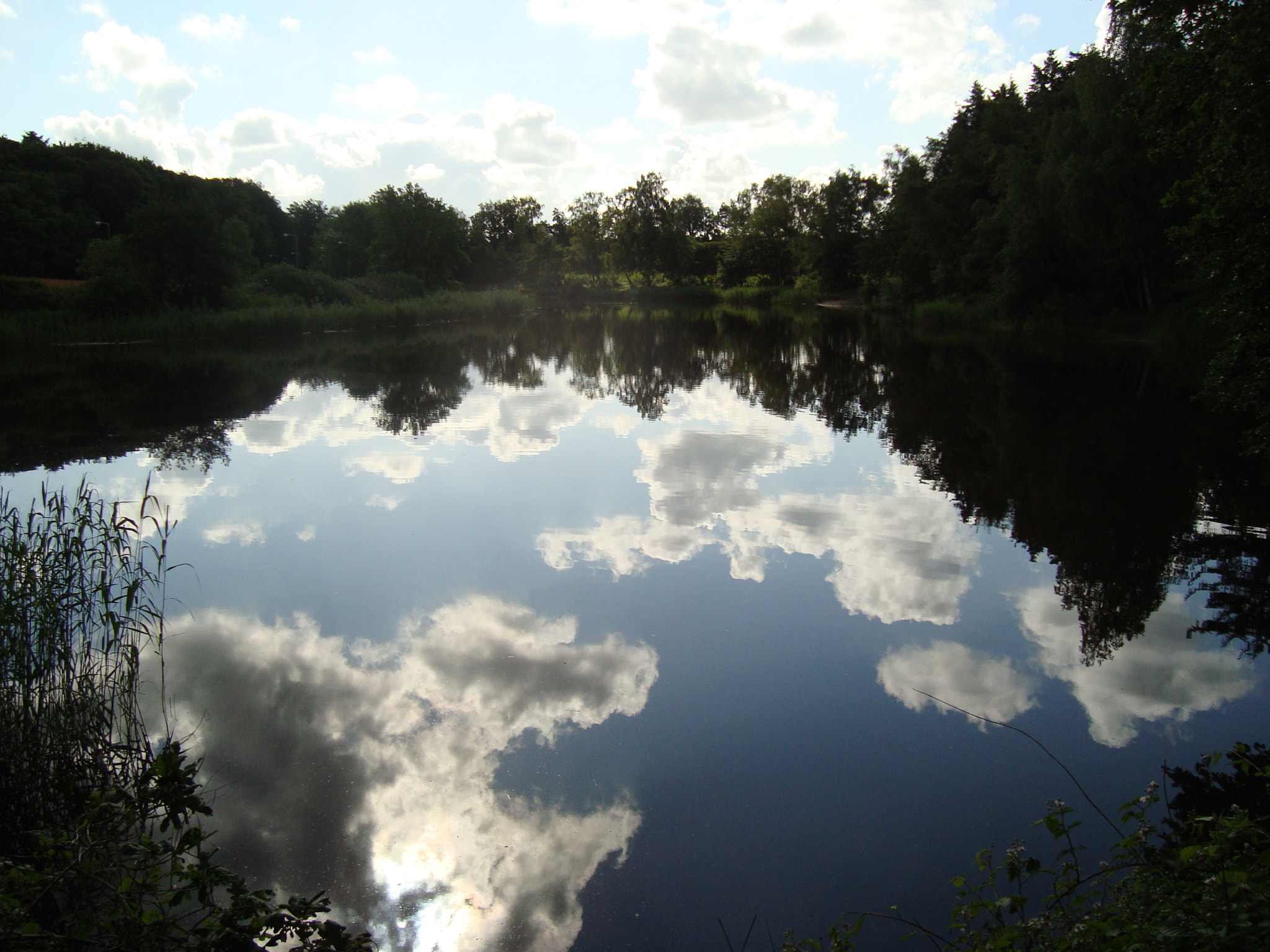 Sony DSC-W125 sample photo. Reflections in nature reserve anna's hoeve. photography