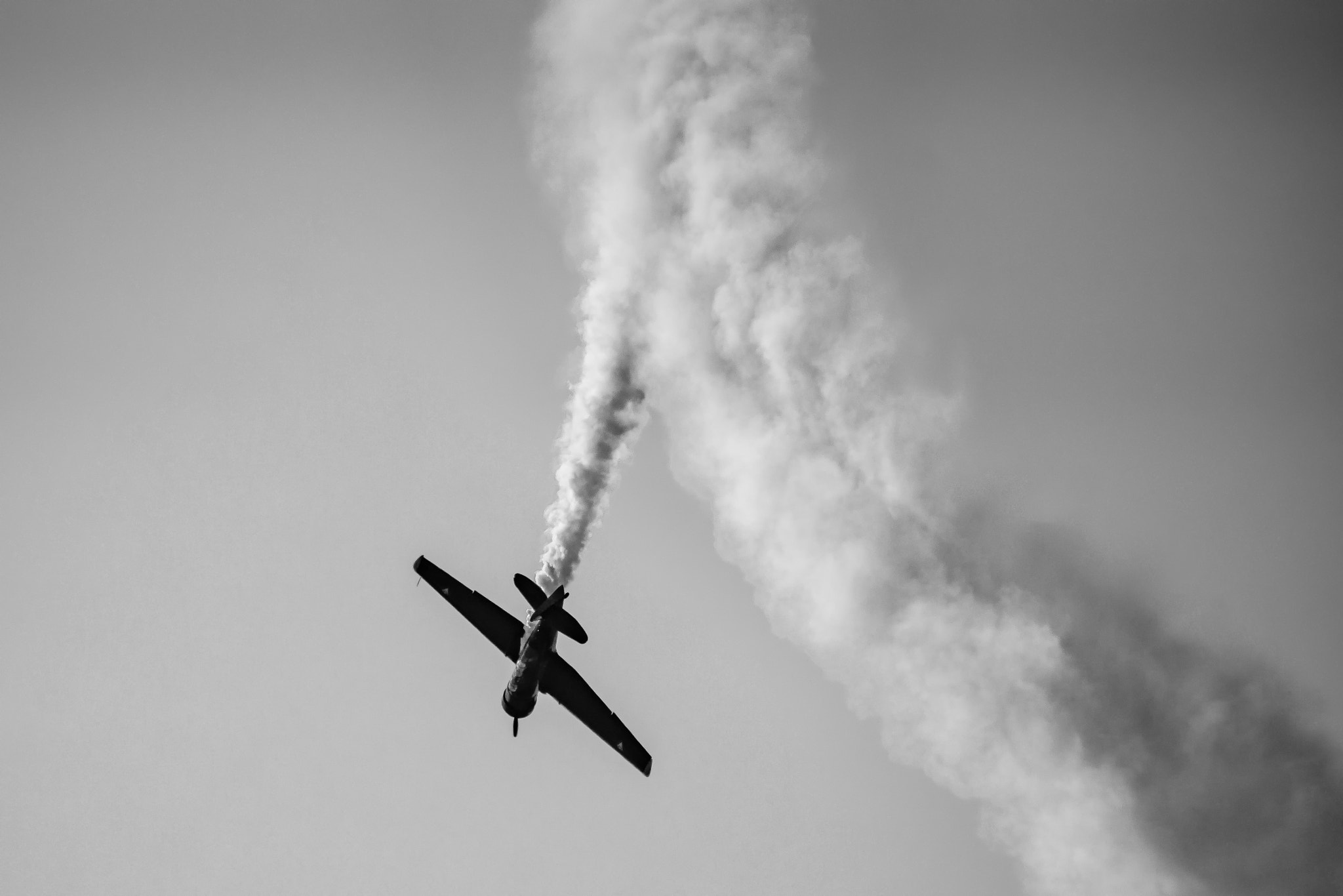 Sony SLT-A77 sample photo. T6 airshow photography