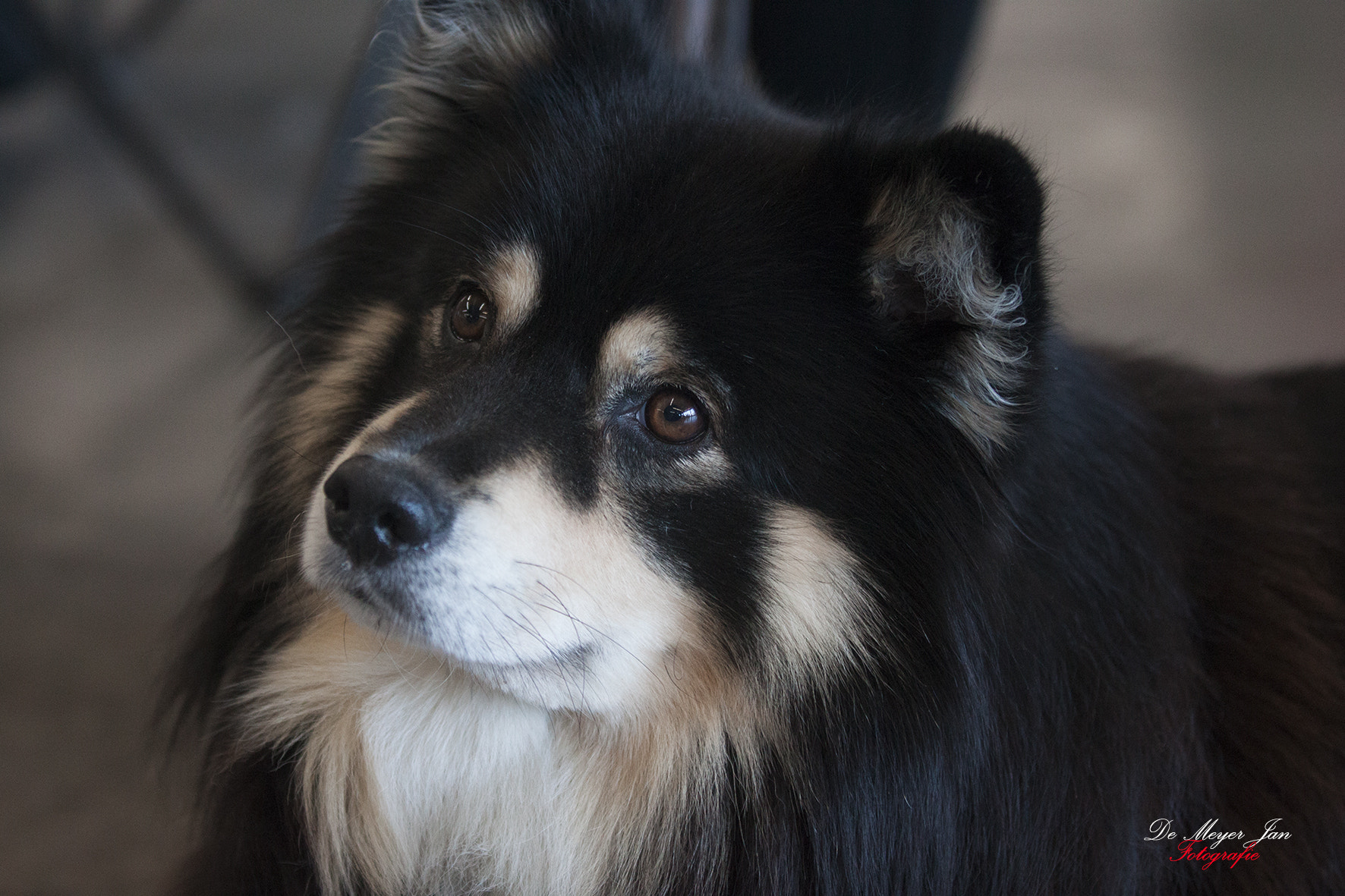 Canon EOS 500D (EOS Rebel T1i / EOS Kiss X3) sample photo. Expo 2016 photography