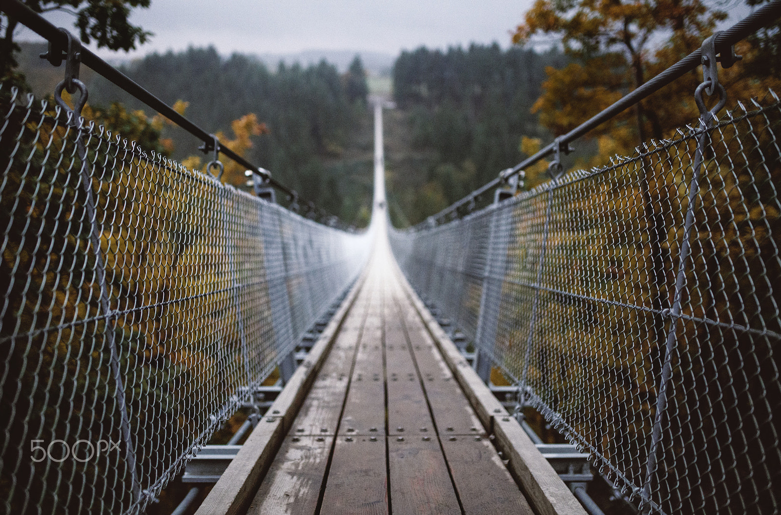 Sony a7R II + Sigma 35mm F1.4 DG HSM Art sample photo. Geierlay bridge photography