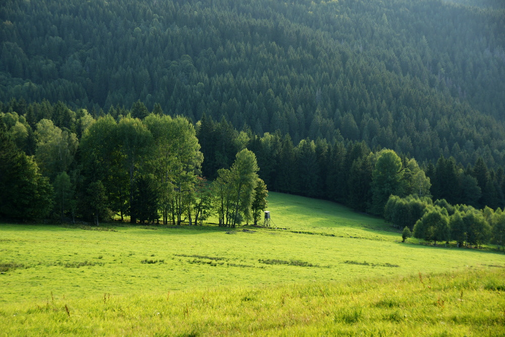 Sony DT 16-105mm F3.5-5.6 sample photo. Czech nature photography