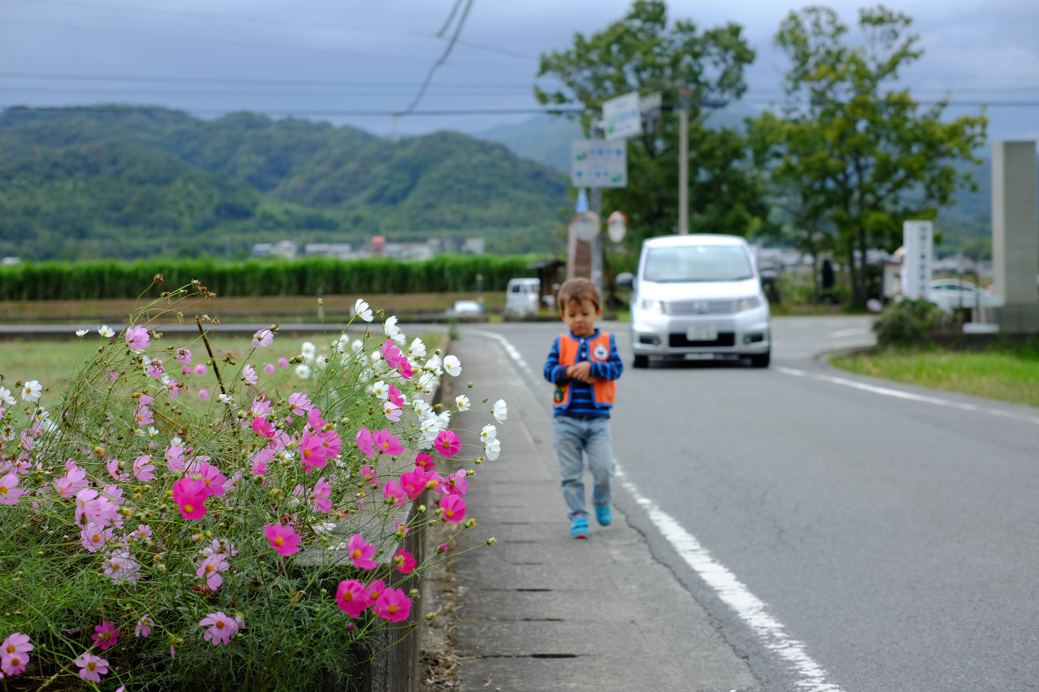 Fujifilm X-M1 + Fujifilm XF 35mm F1.4 R sample photo. Dscf photography