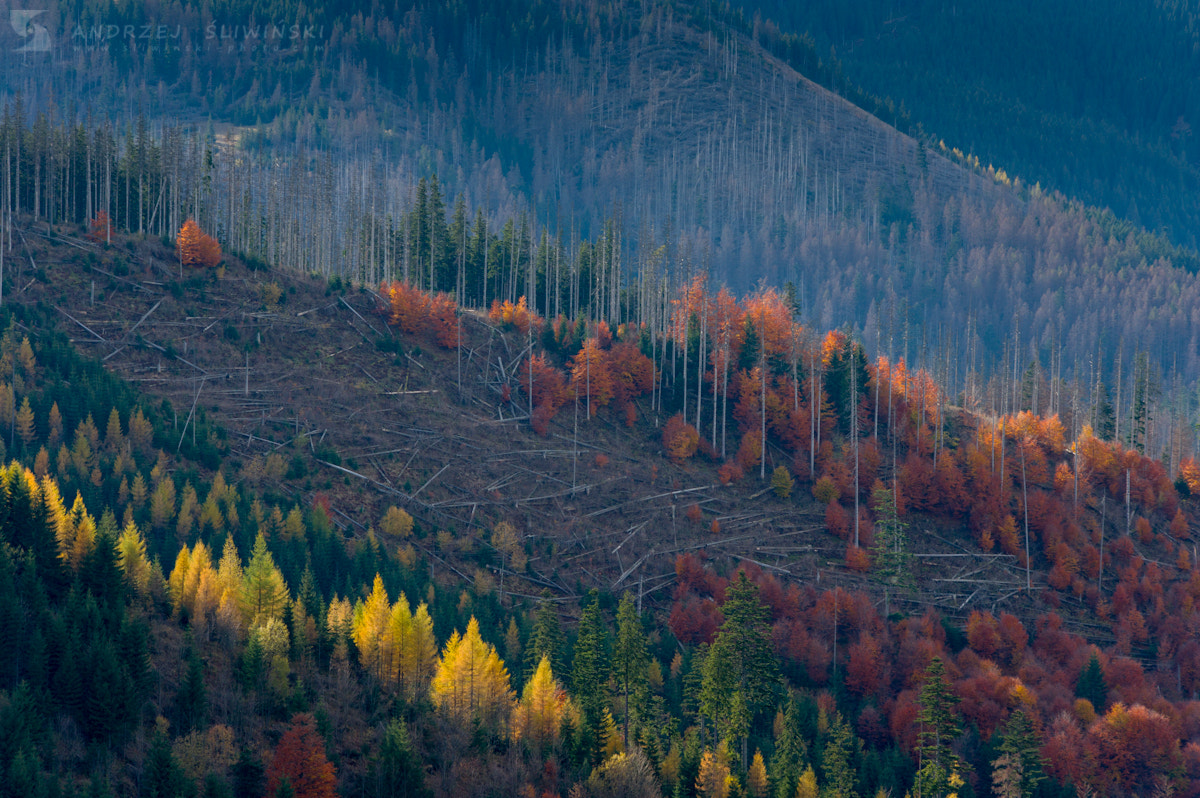 HD Pentax DA 55-300mm F4.0-5.8 ED WR sample photo. Autumn in the tatra mountains photography