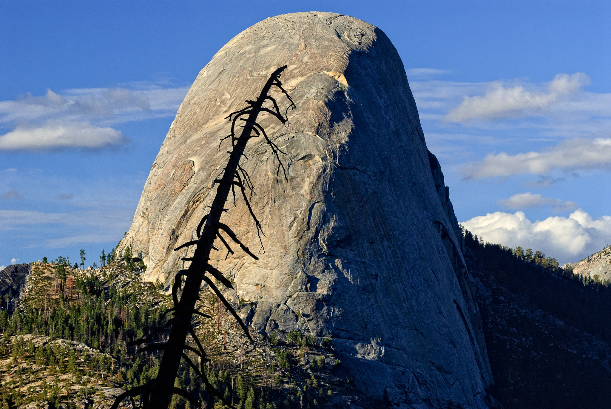 Nikon D200 sample photo. Half dome yosemite photography