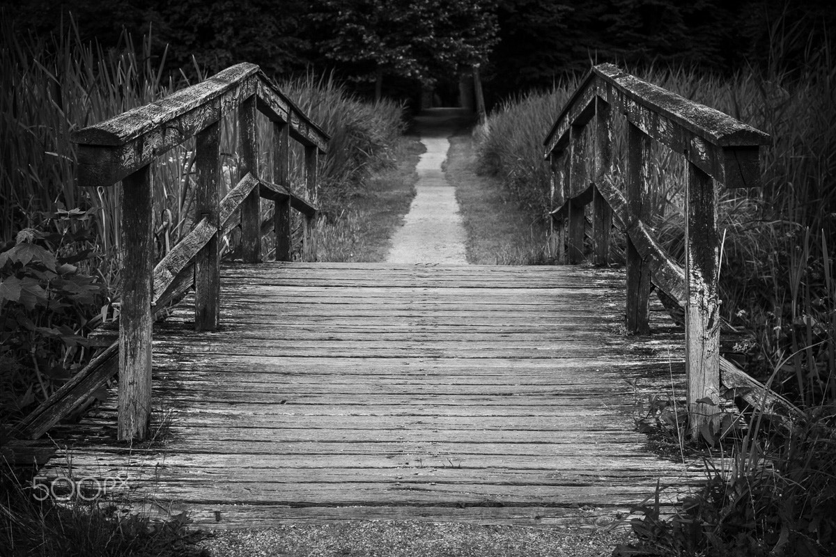 Canon EOS 30D + Canon EF 50mm F1.8 II sample photo. Bridge to nowhere photography