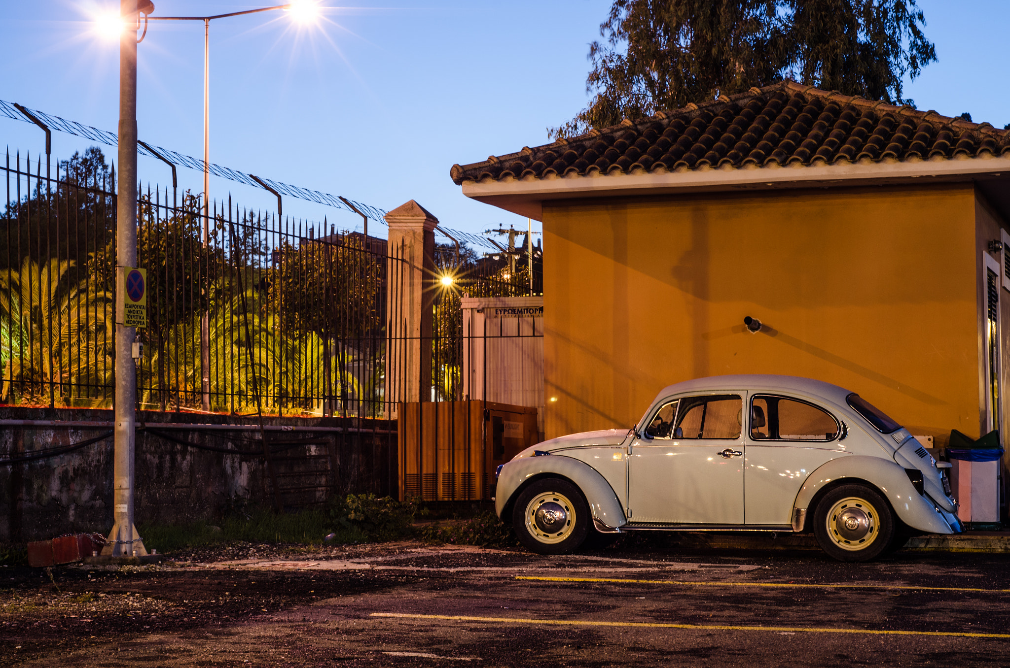 Nikon D7000 + AF Nikkor 50mm f/1.8 sample photo. The beetle photography