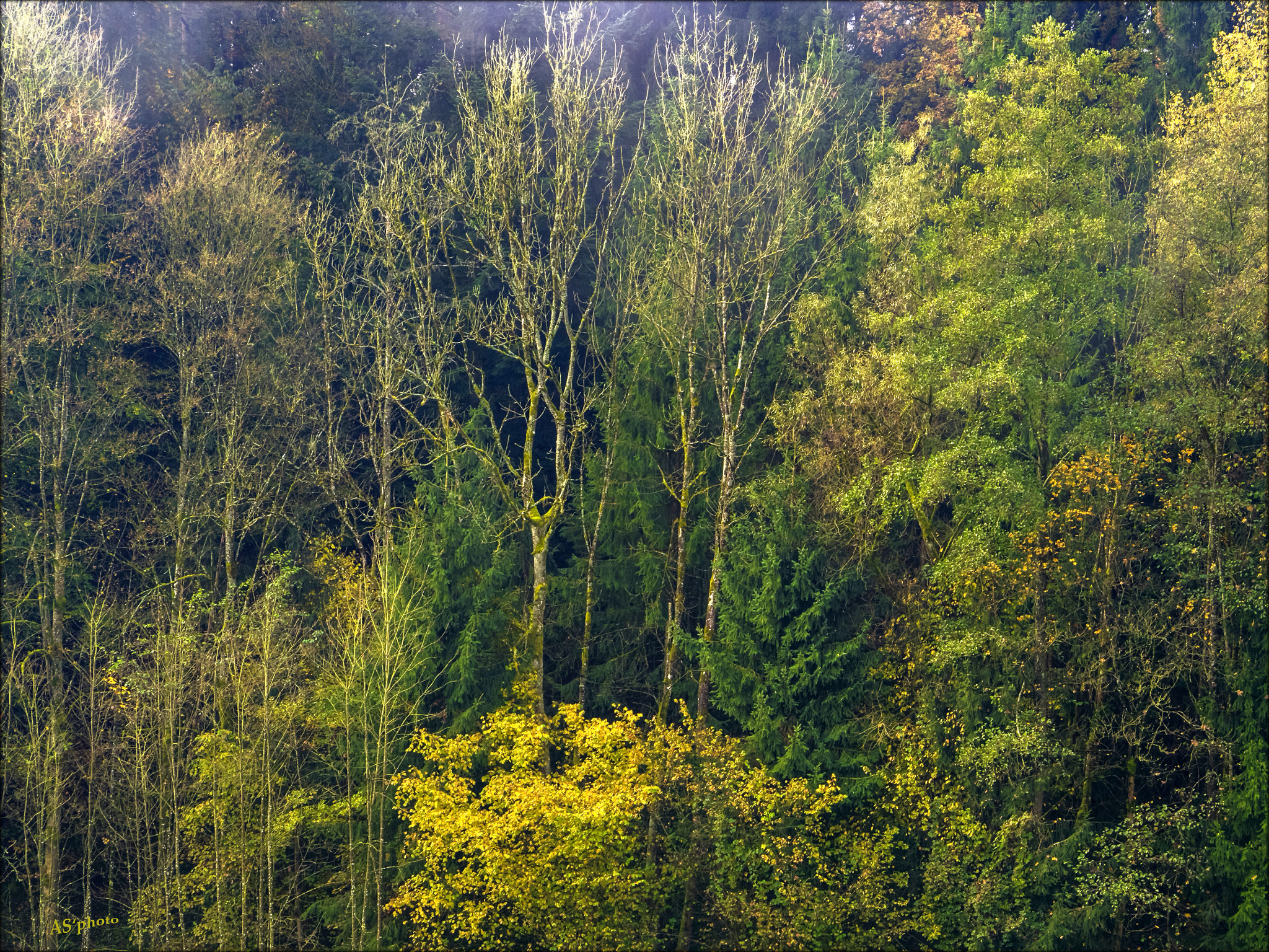 Olympus Zuiko Digital ED 40-150mm F4.0-5.6 sample photo. Another autumn painting photography