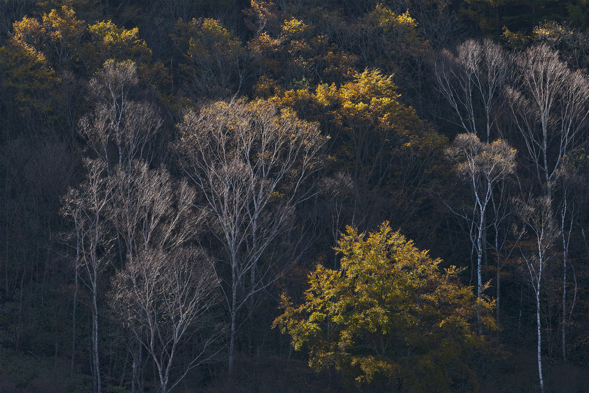 Sony 70-400mm F4-5.6 G SSM II sample photo. Ido moor 2 photography