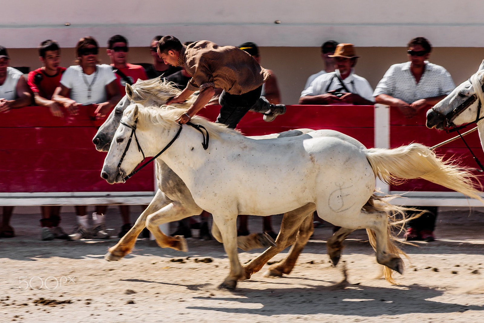 Canon EF 75-300mm f/4-5.6 USM sample photo. Skill photography