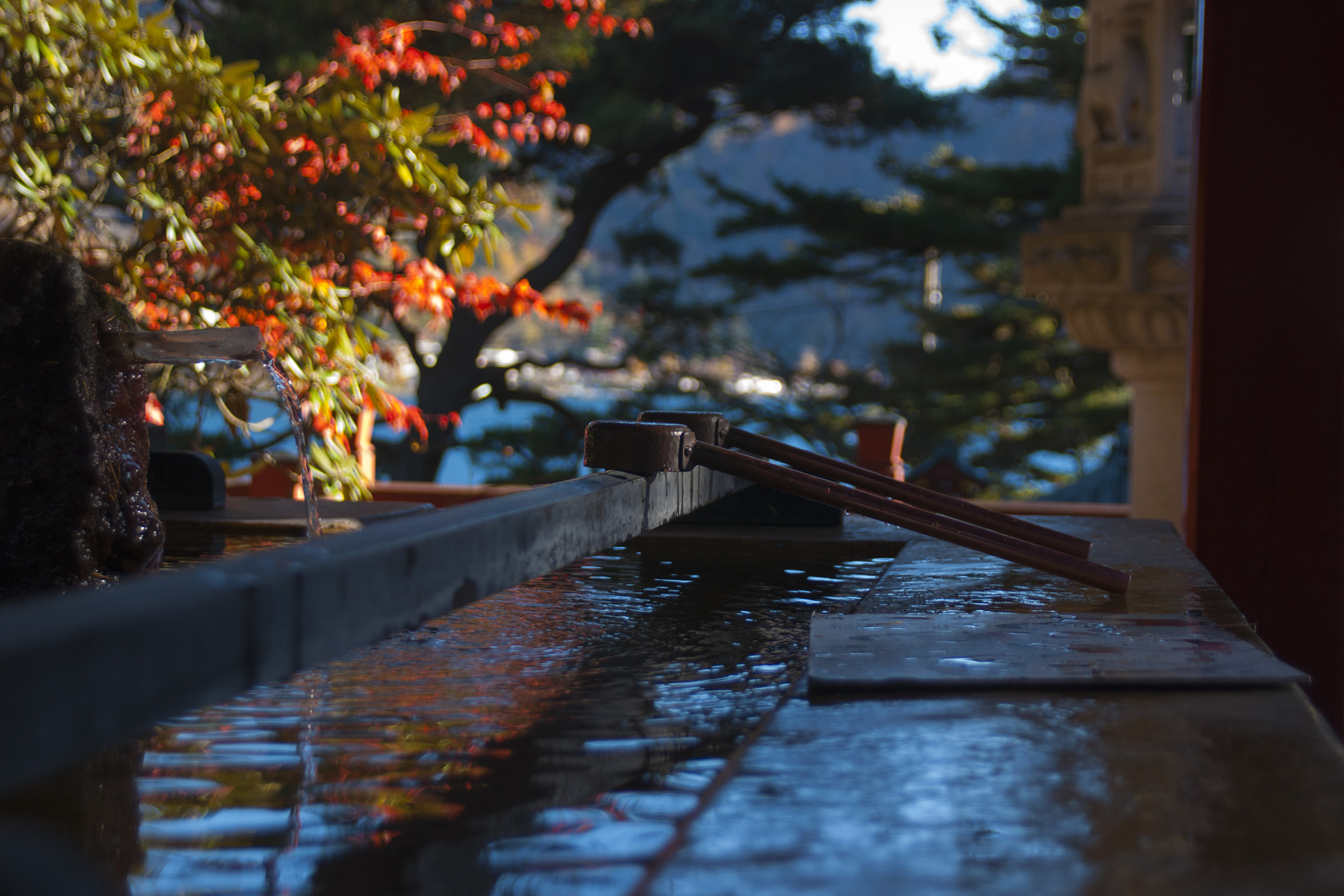 Sony Alpha DSLR-A700 sample photo. Japanese temple autumn photography