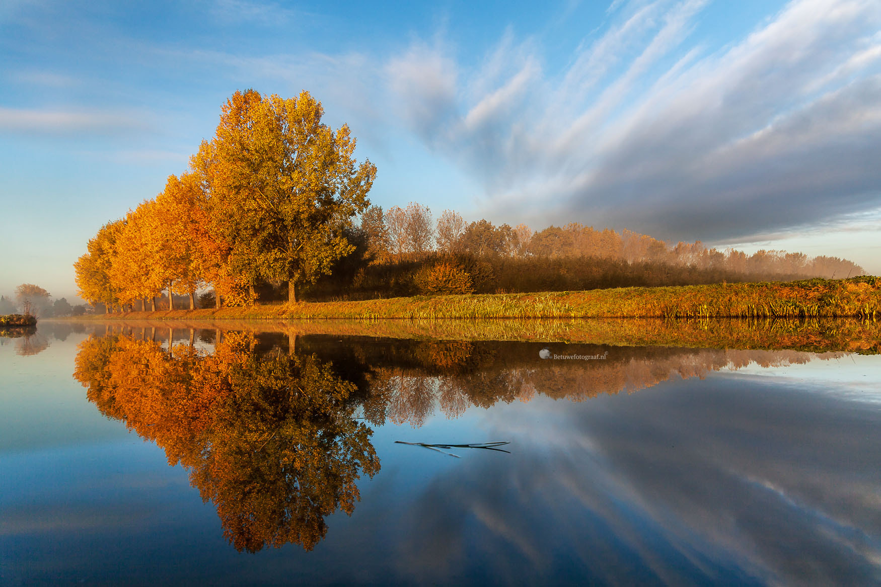 Canon EOS 5D Mark II + Sigma 24-105mm f/4 DG OS HSM | A sample photo. Autumn reflection this morning in holland photography