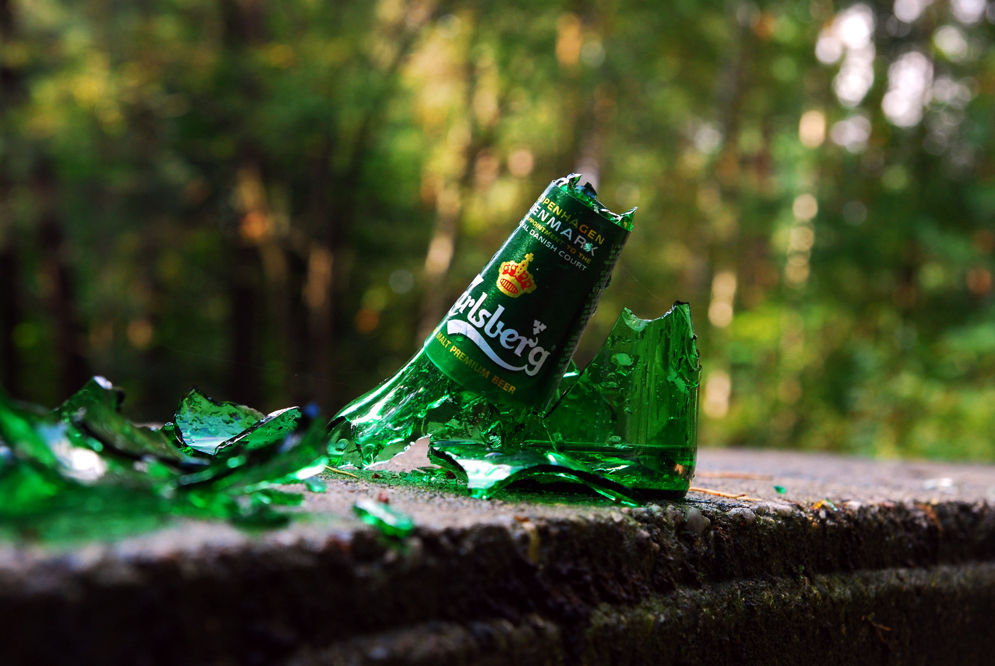 Nikon D80 sample photo. ... it was probably the best beer in the world ... photography