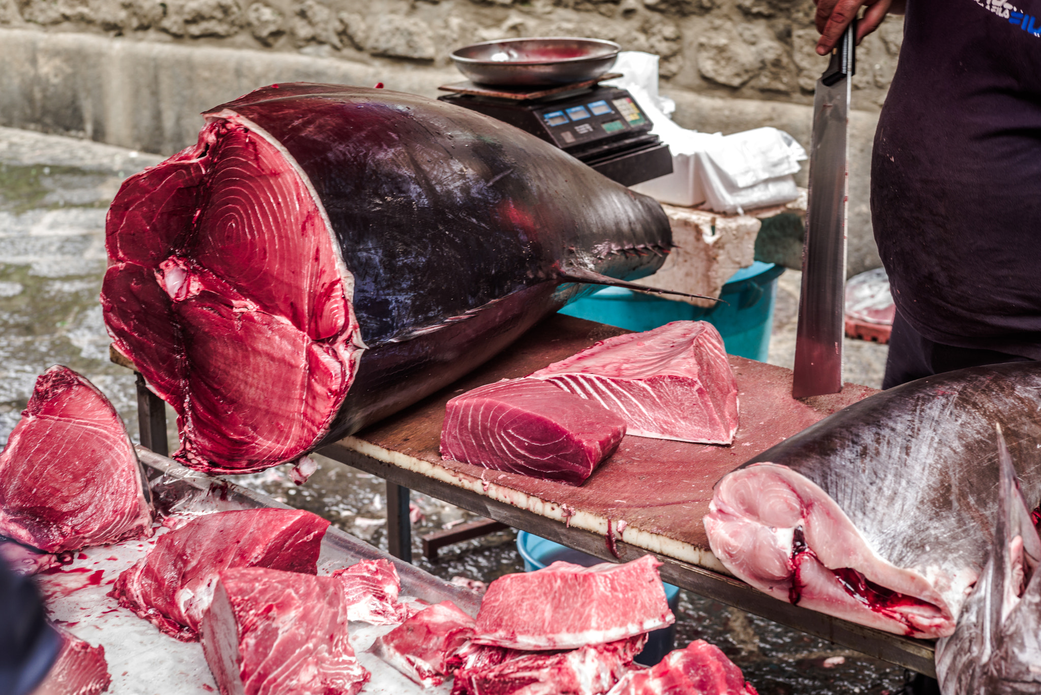 Summicron 1:2/50 Leitz sample photo. A piscaria, fish market in catania photography