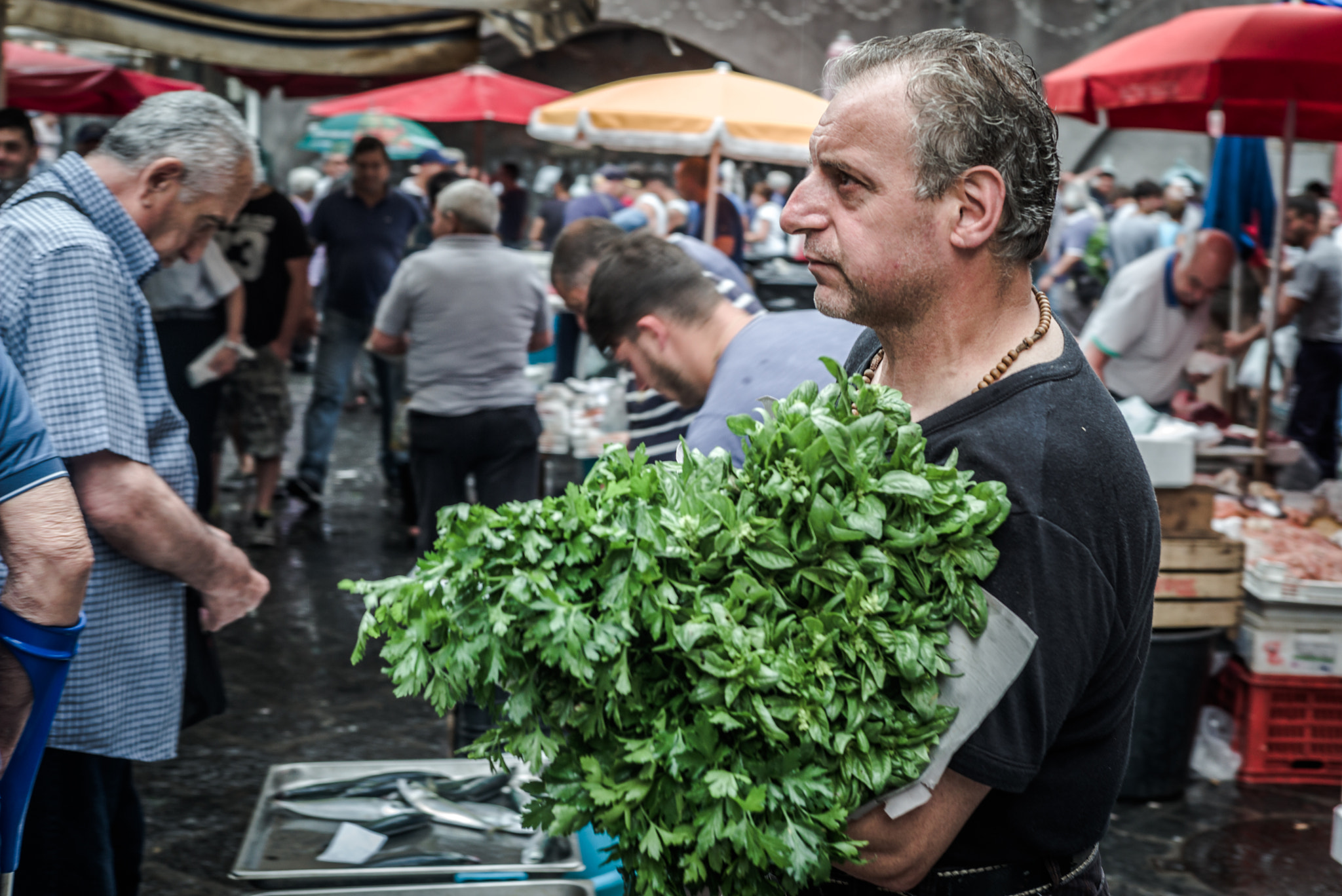 Summicron 1:2/50 Leitz sample photo. A piscaria, fish market in catania photography