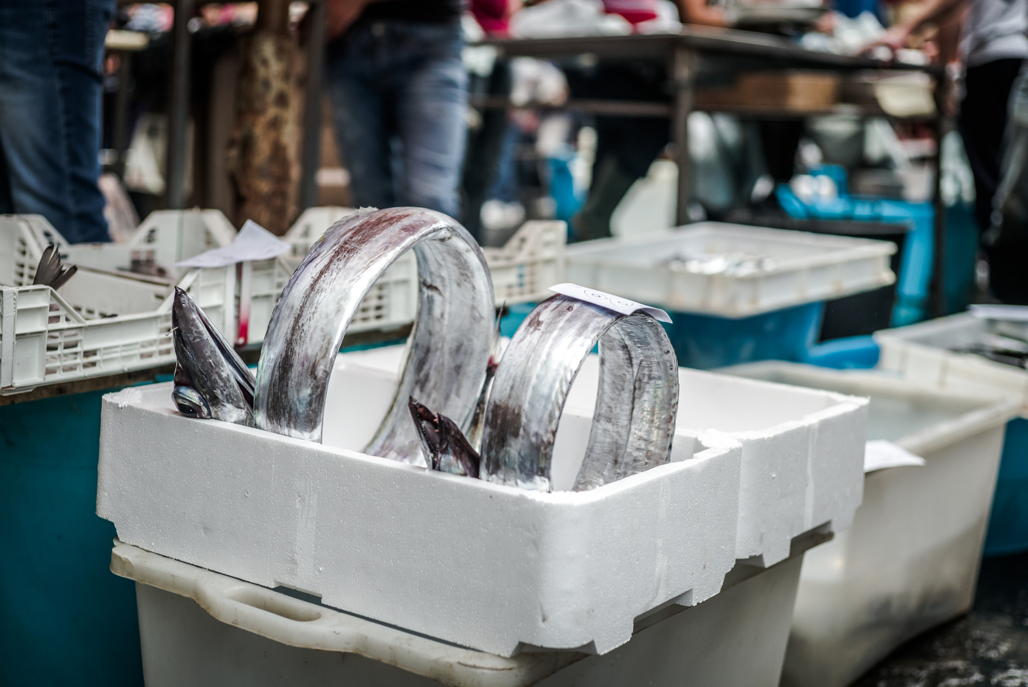 Summicron 1:2/50 Leitz sample photo. A piscaria, fish market in catania photography