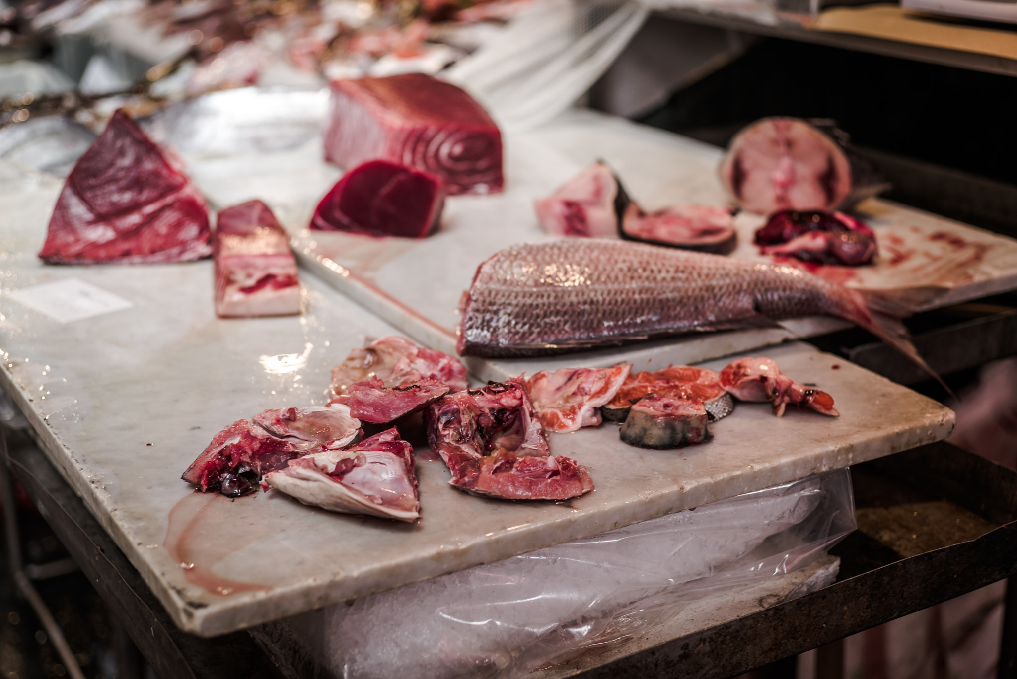 Summicron 1:2/50 Leitz sample photo. A piscaria, fish market in catania photography