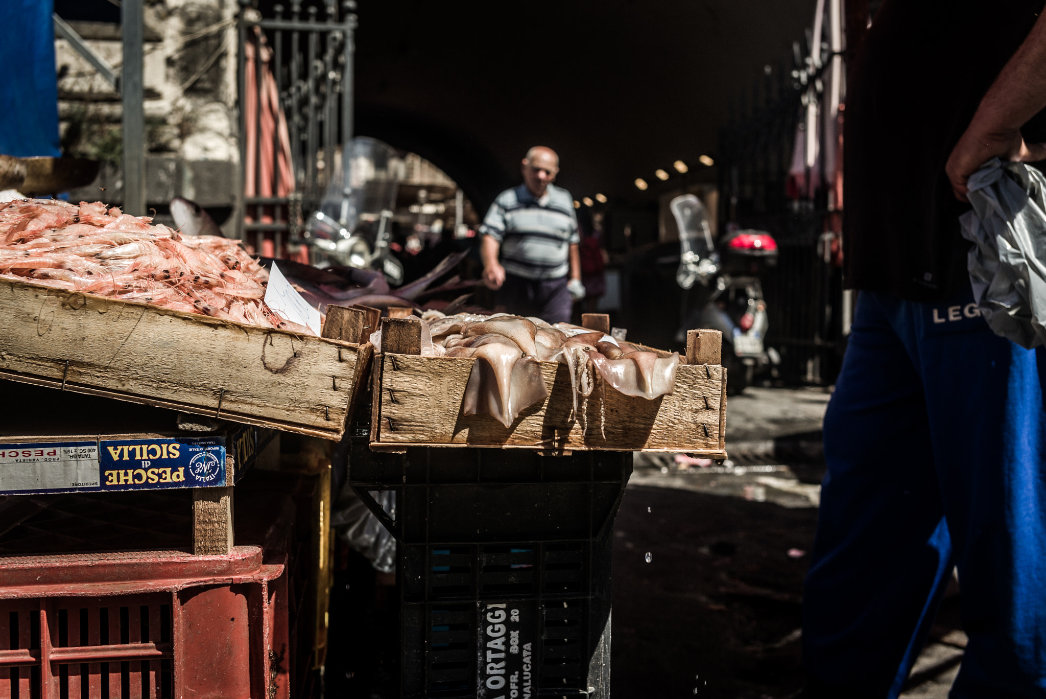 Summicron-M 1:2/35 ASPH. sample photo. A piscaria, catania photography
