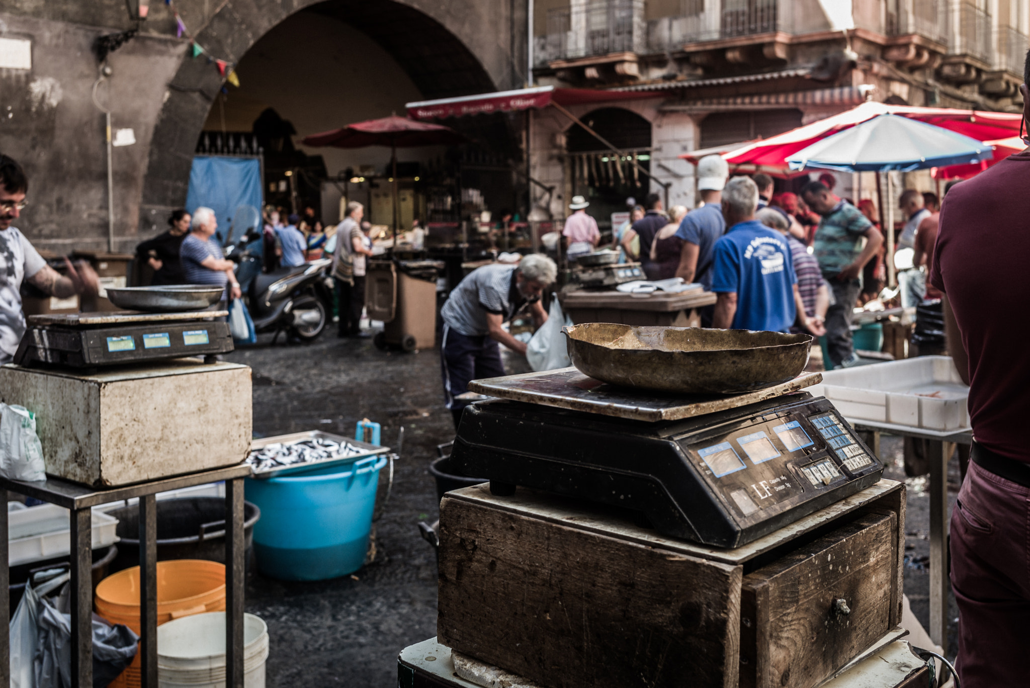 Summicron-M 1:2/35 ASPH. sample photo. A piscaria, catania photography