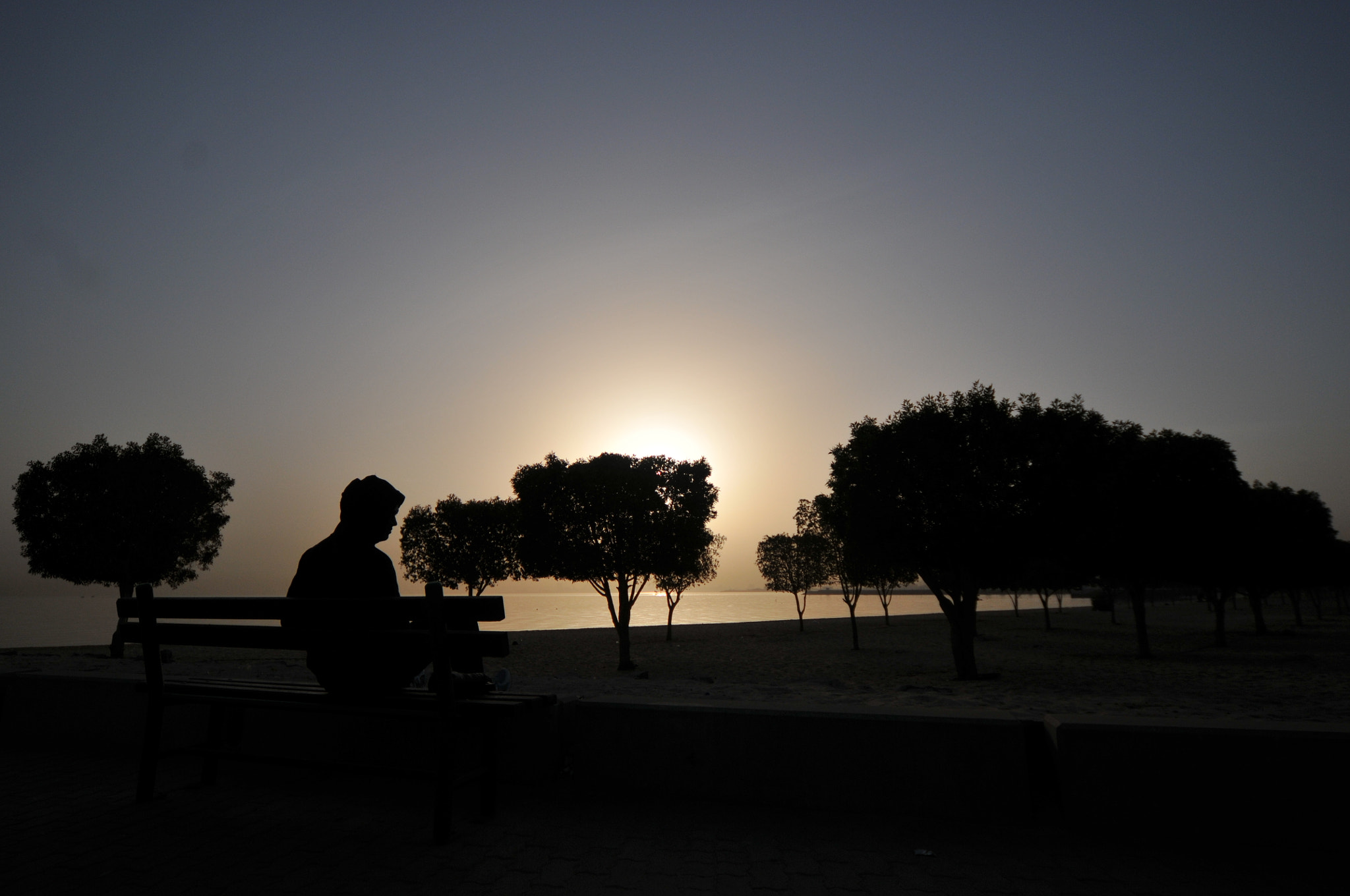 Sigma 12-24mm F4.5-5.6 EX DG Aspherical HSM sample photo. Dsc photography