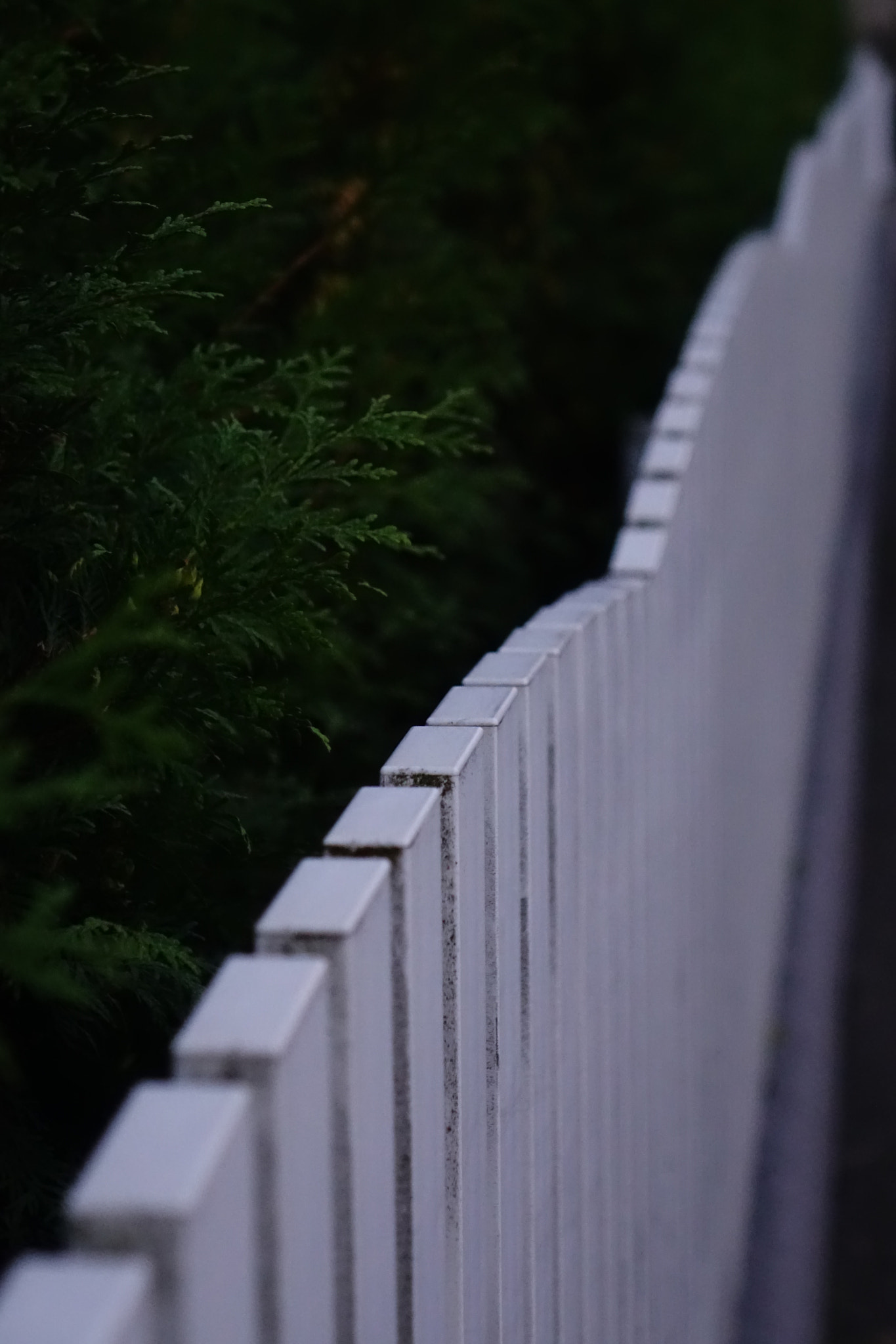 Sony Cyber-shot DSC-RX10 + Sony 24-200mm F2.8 sample photo. Follow the white path photography