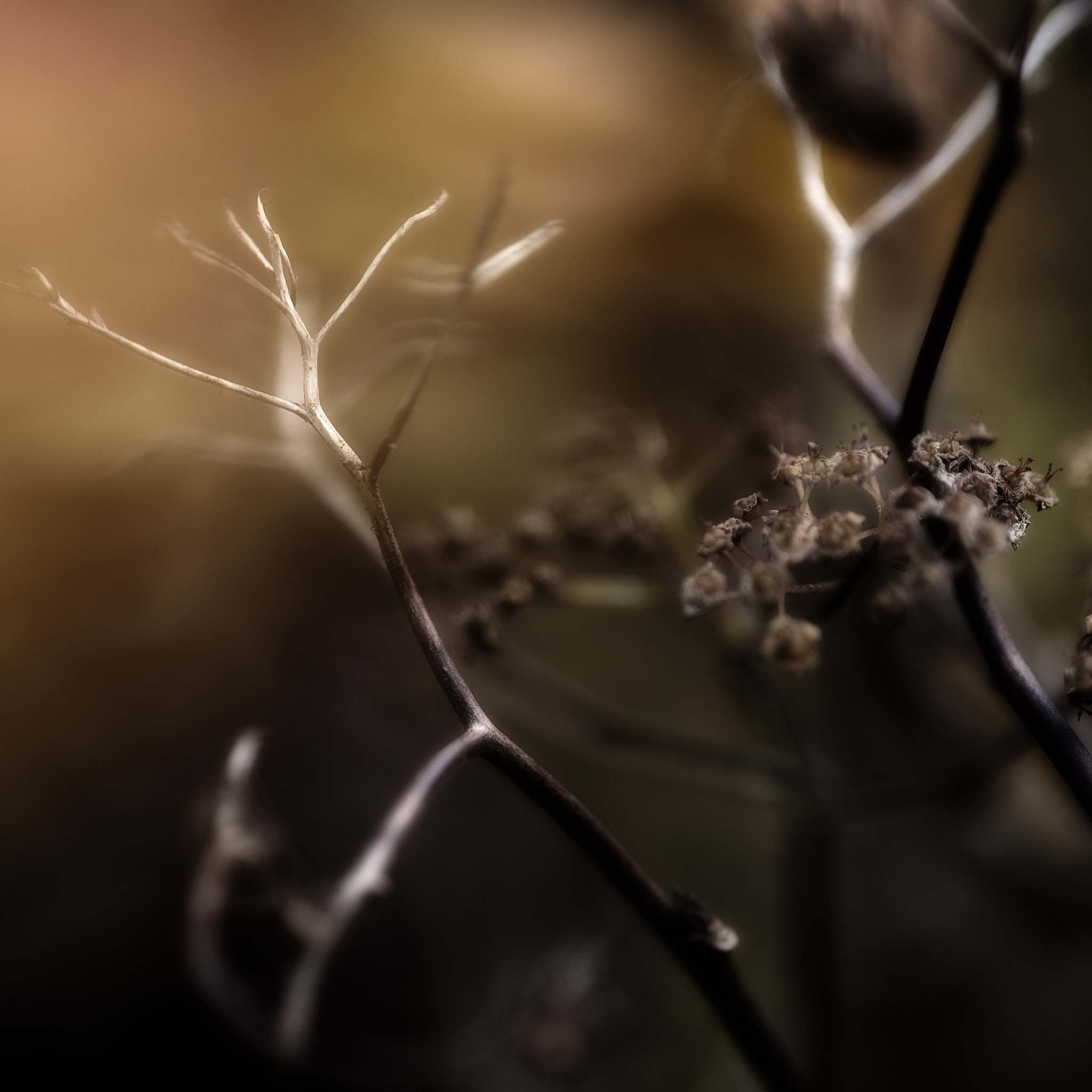 Nikon D3 sample photo. Herfst kleuren photography