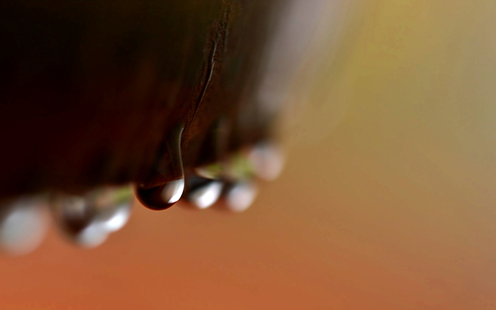 Sigma 105mm F2.8 EX DG OS HSM sample photo. Falling photography