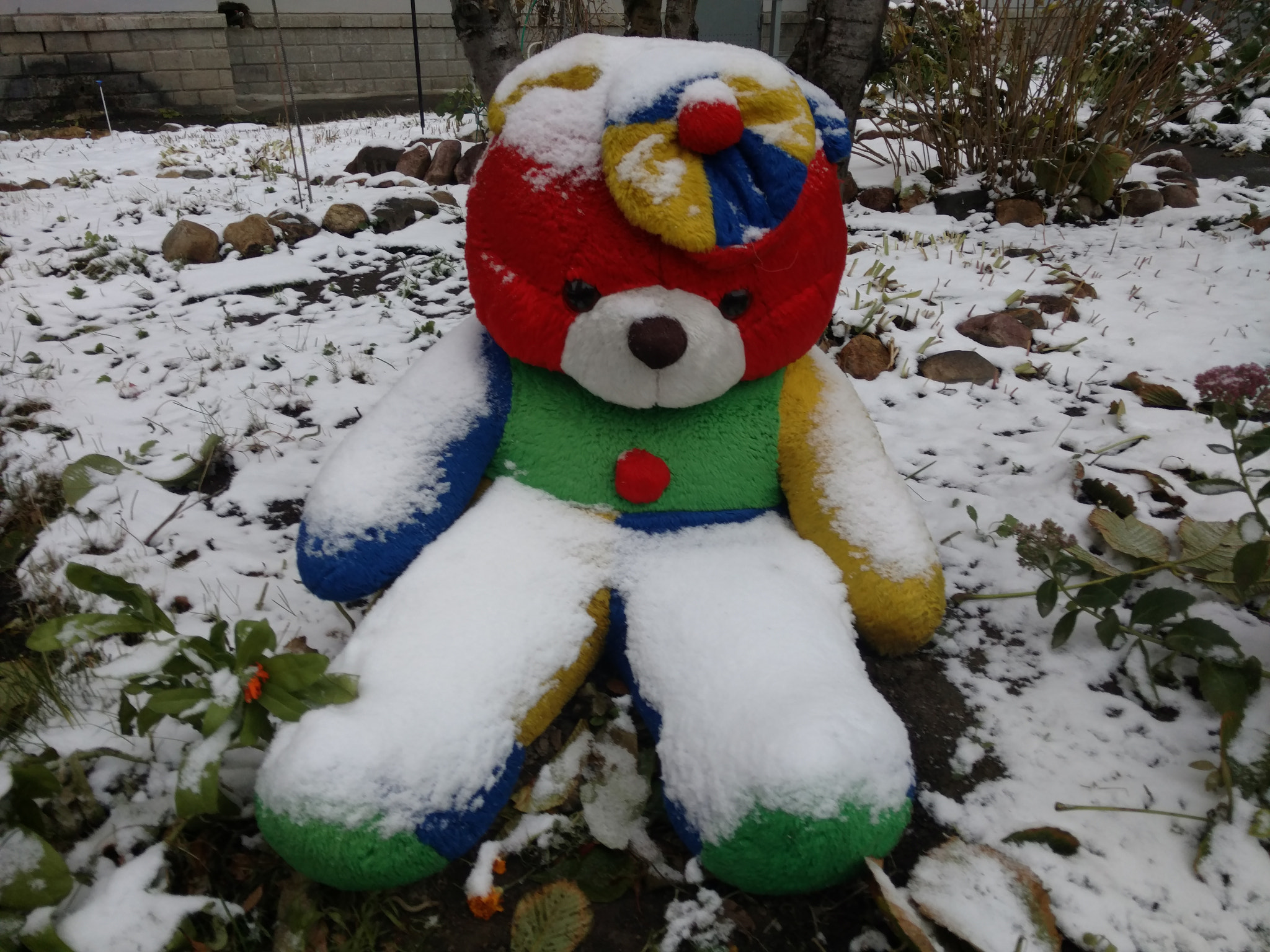 Motorola Moto X Pure Edition sample photo
