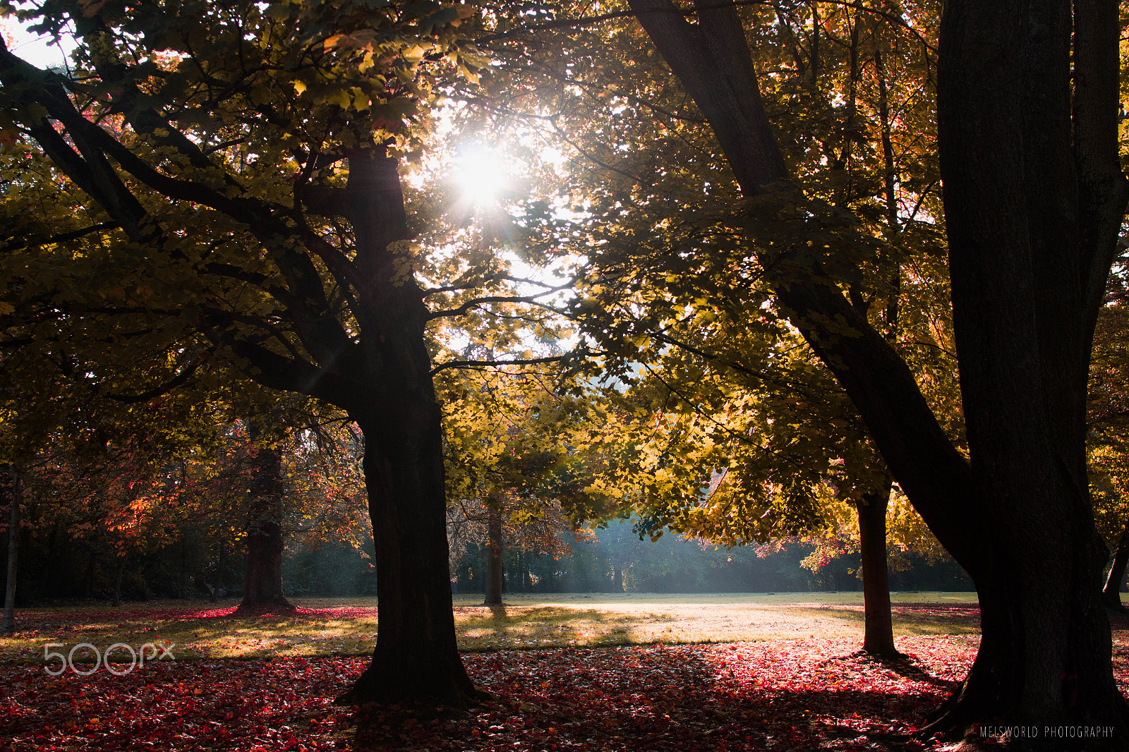 Canon EF 24mm F2.8 sample photo. Autumn serie's : autumn in the park photography