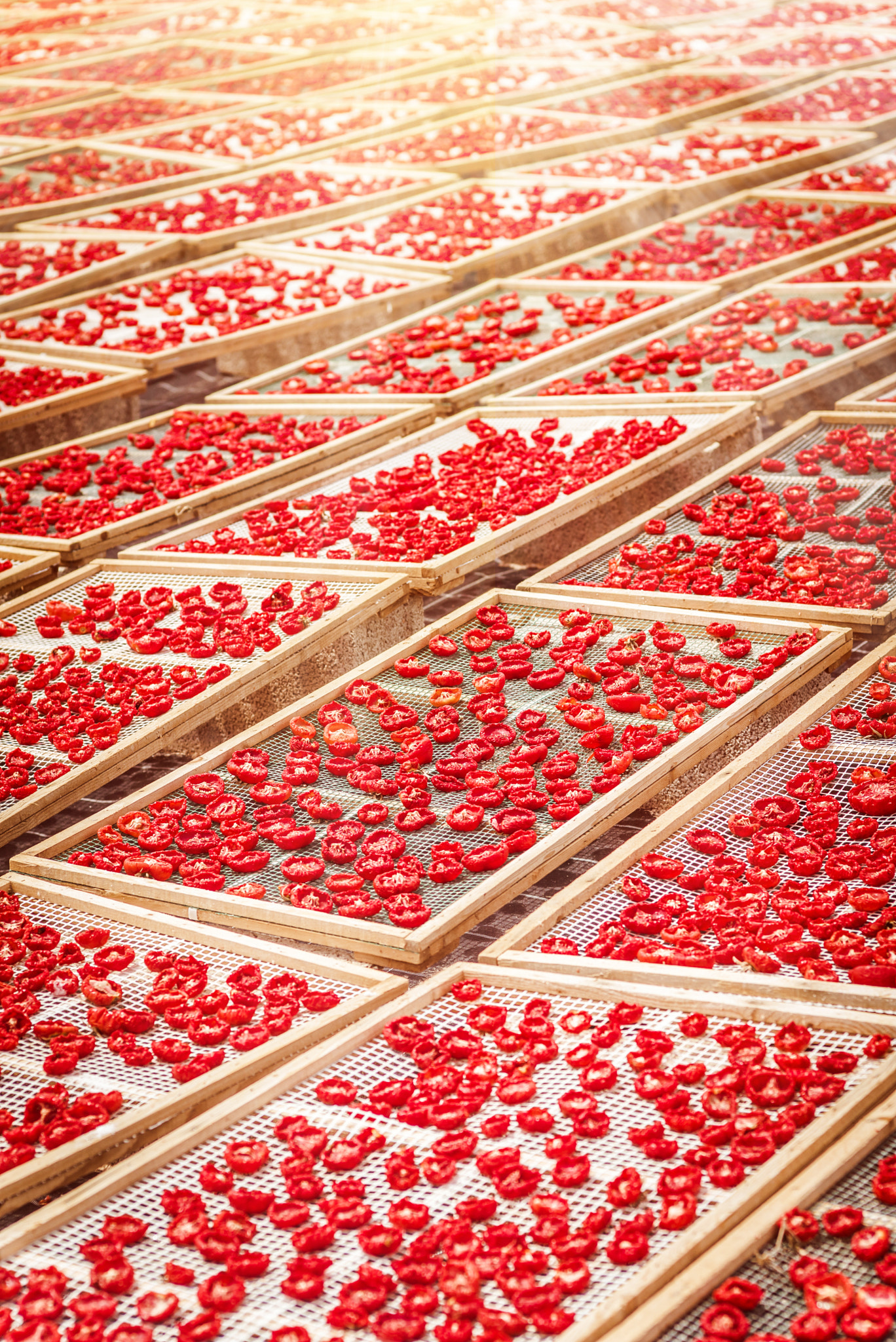 Tele-Elmarit 1:2.8/90 sample photo. Sun dried tomatoes in sicily photography