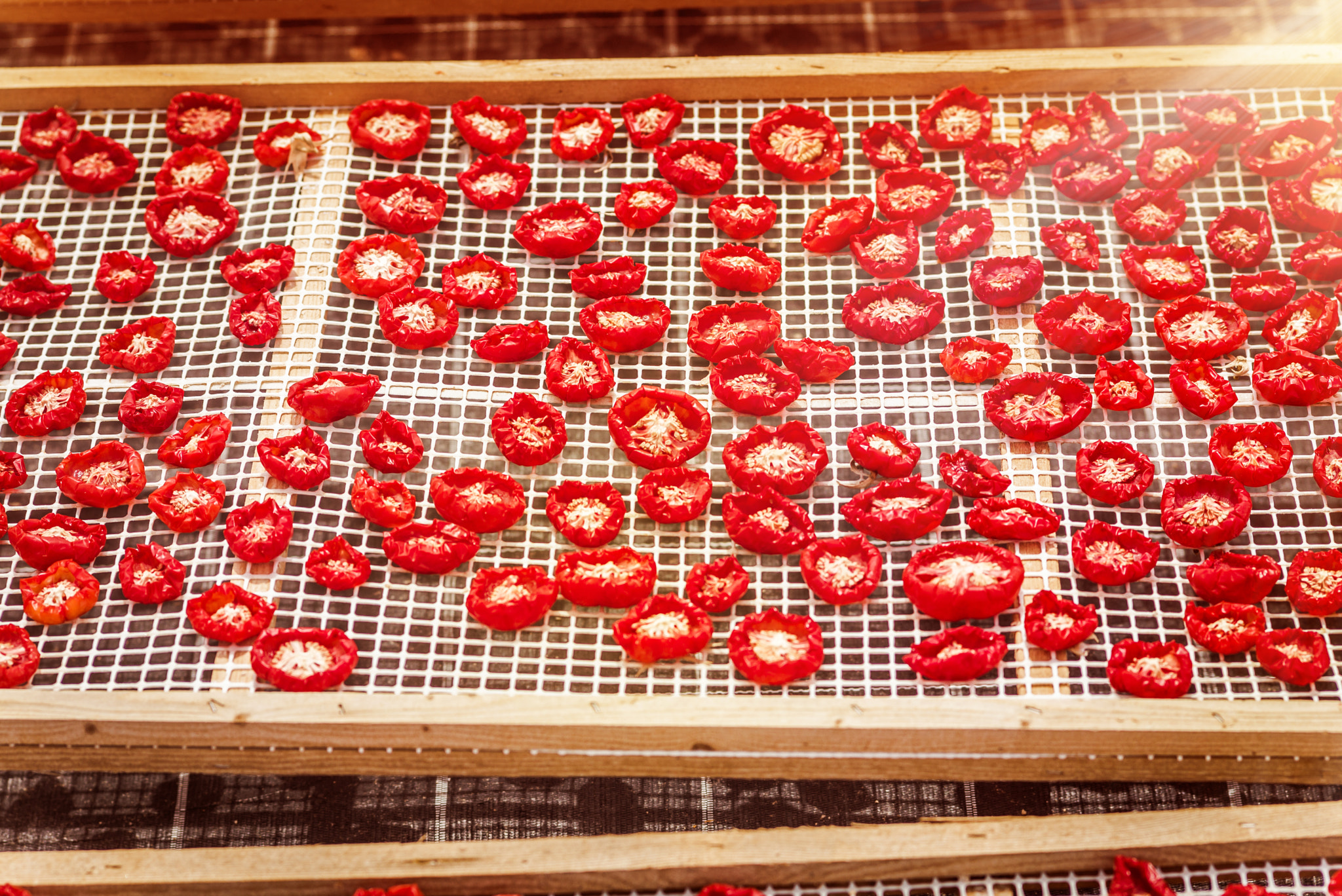 Tele-Elmarit 1:2.8/90 sample photo. Sun dried tomatoes in sicily photography