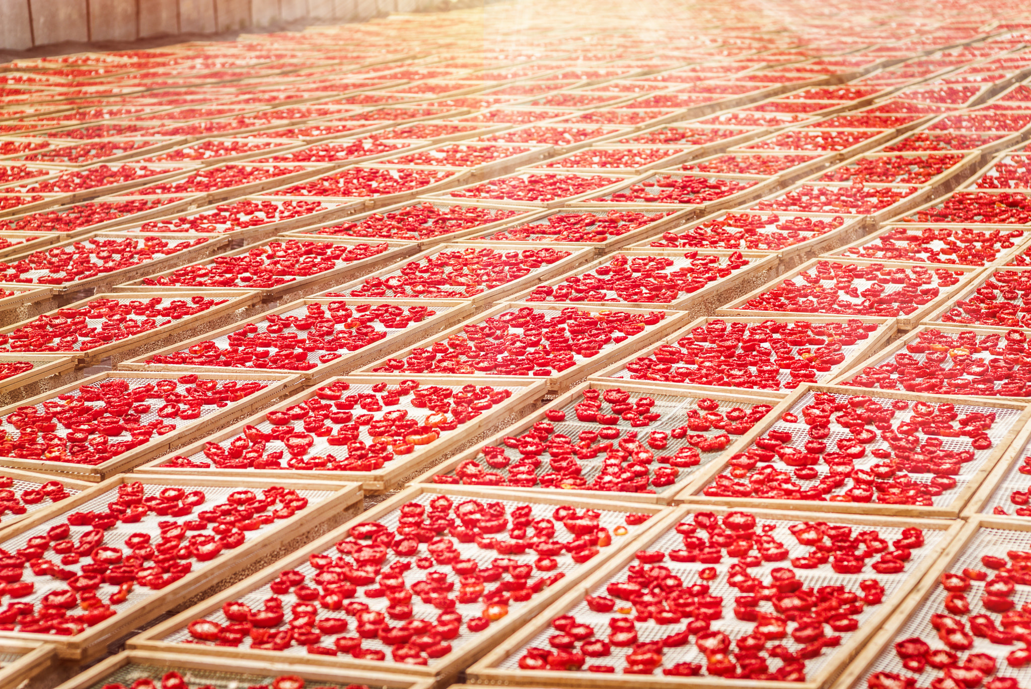Tele-Elmarit 1:2.8/90 sample photo. Sun dried tomatoes in sicily photography