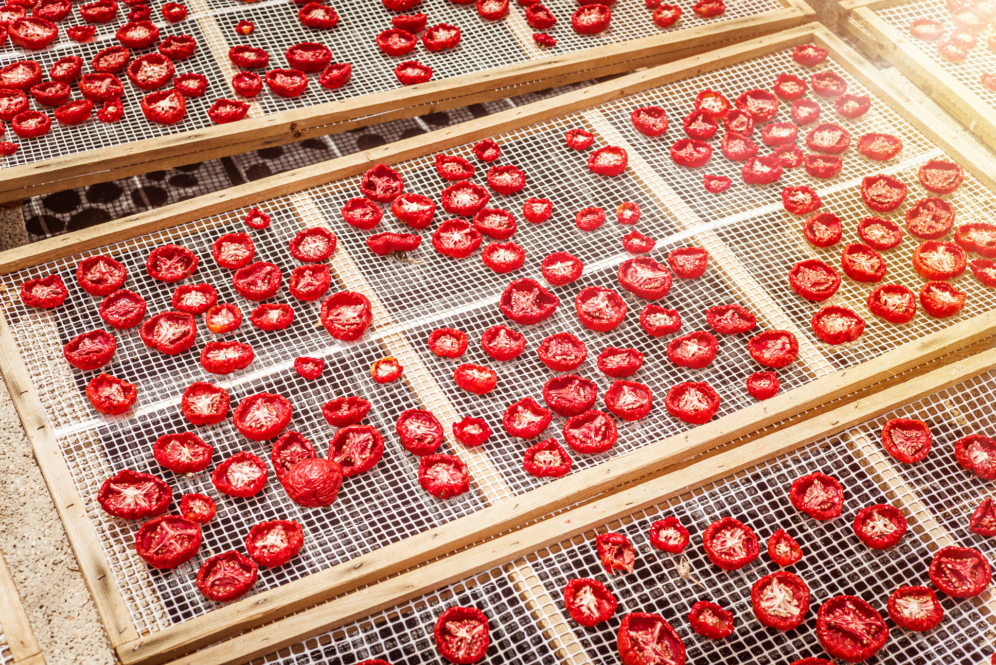 Summicron 1:2/50 Leitz sample photo. Sun dried tomatoes in sicily photography