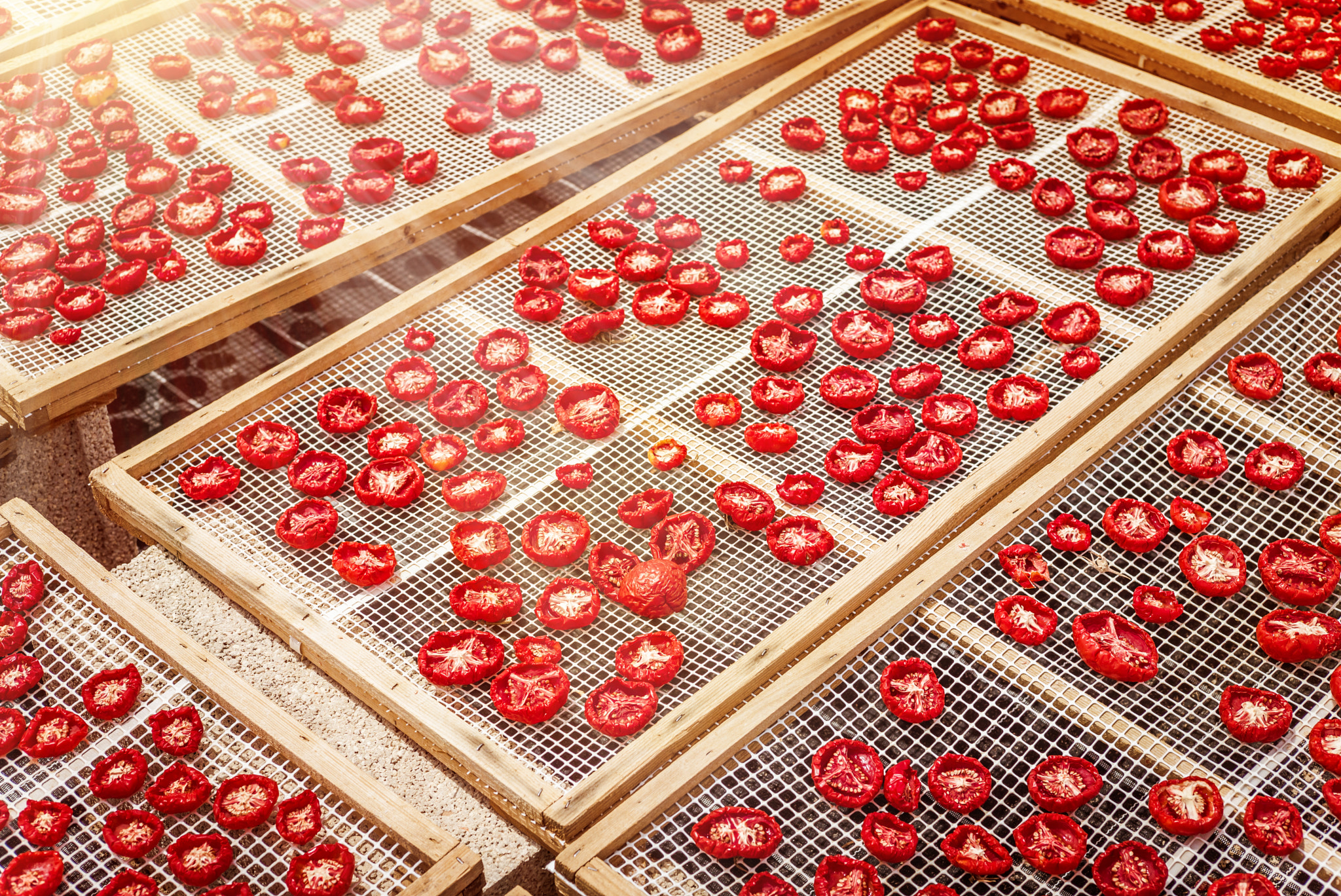 Summicron 1:2/50 Leitz sample photo. Sun dried tomatoes in sicily photography