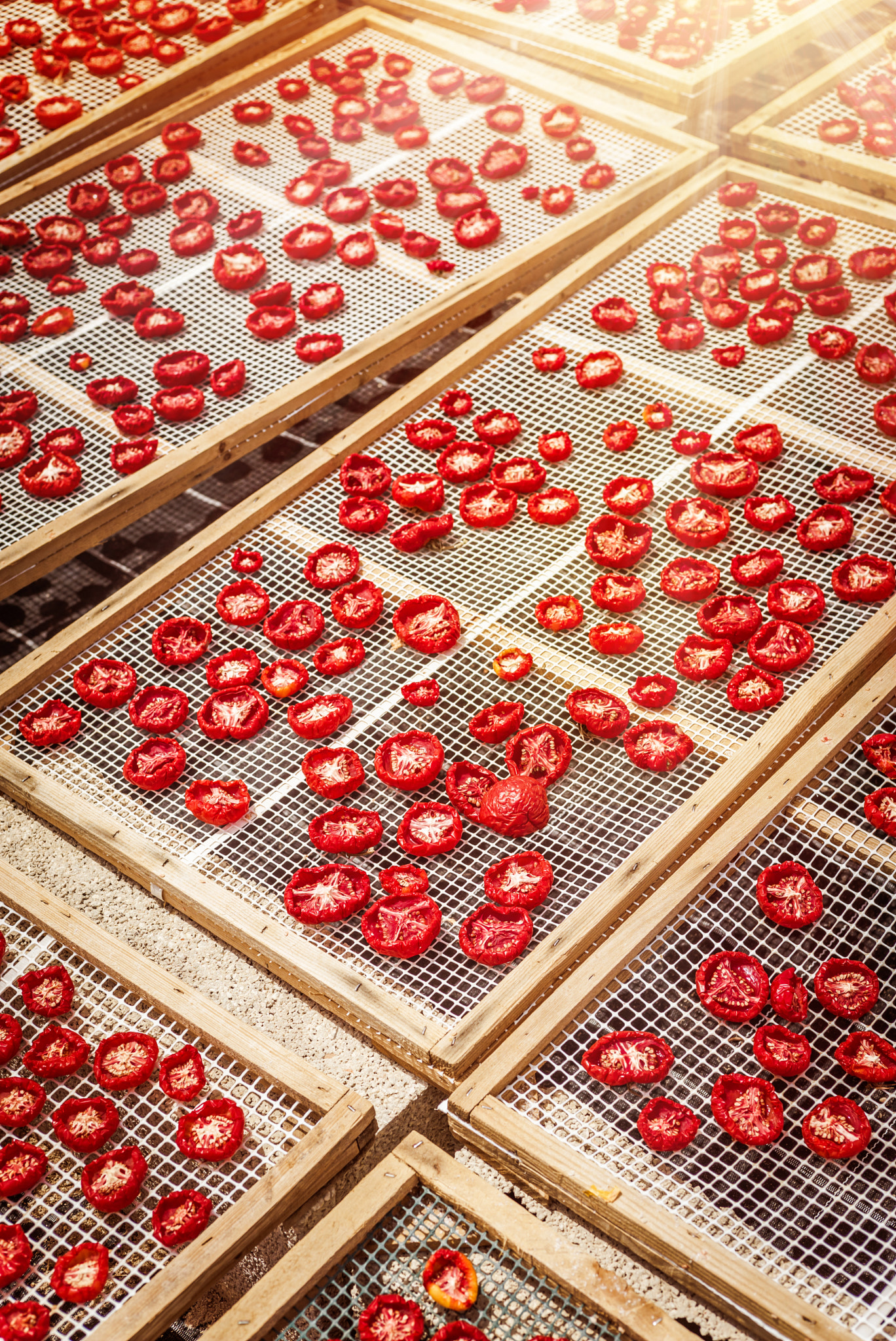 Summicron 1:2/50 Leitz sample photo. Sun dried tomatoes in sicily photography