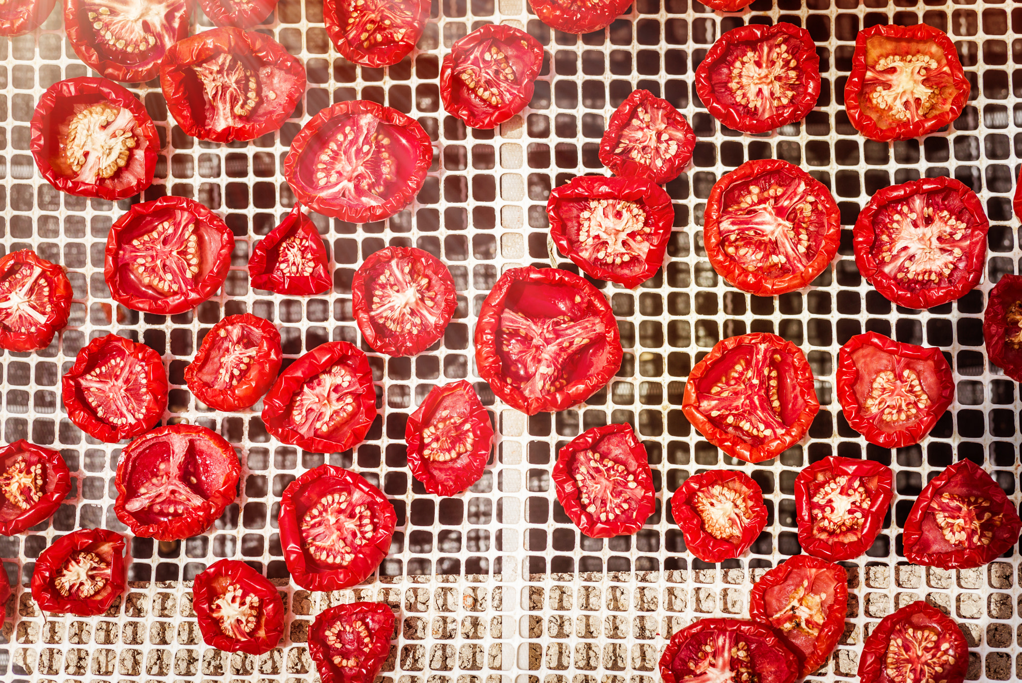 Summicron 1:2/50 Leitz sample photo. Sun dried tomatoes in sicily photography