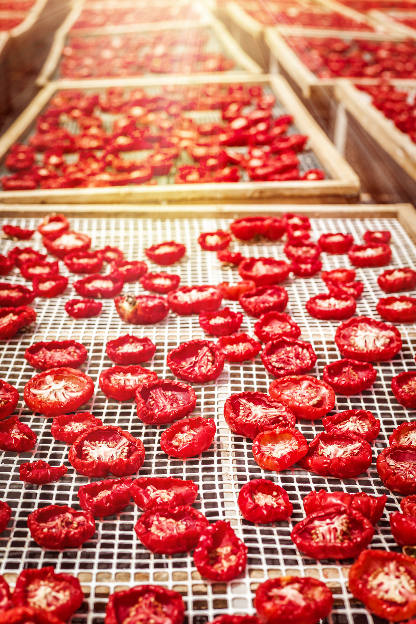 Summicron 1:2/50 Leitz sample photo. Sun dried tomatoes in sicily photography