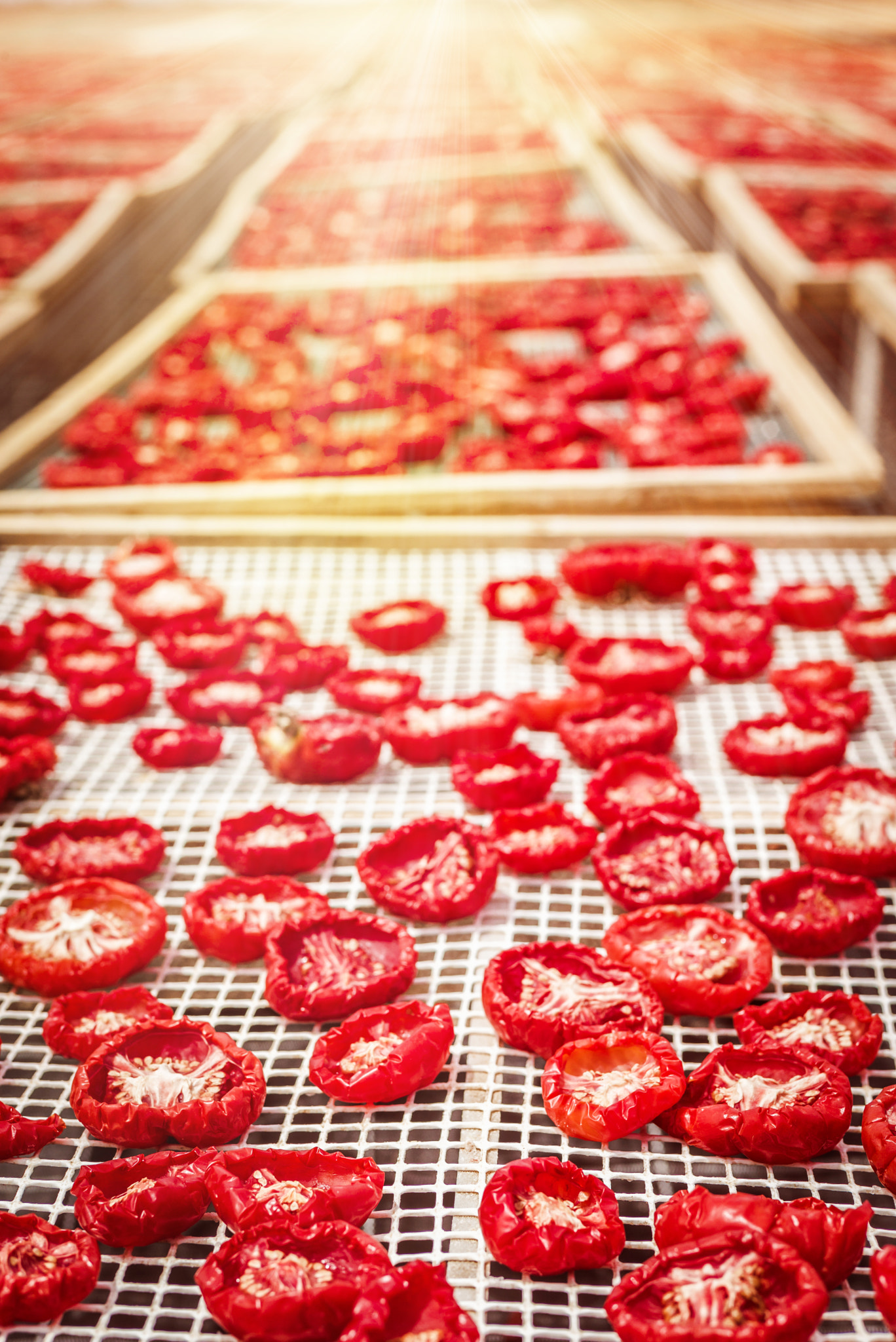 Summicron 1:2/50 Leitz sample photo. Sun dried tomatoes in sicily photography