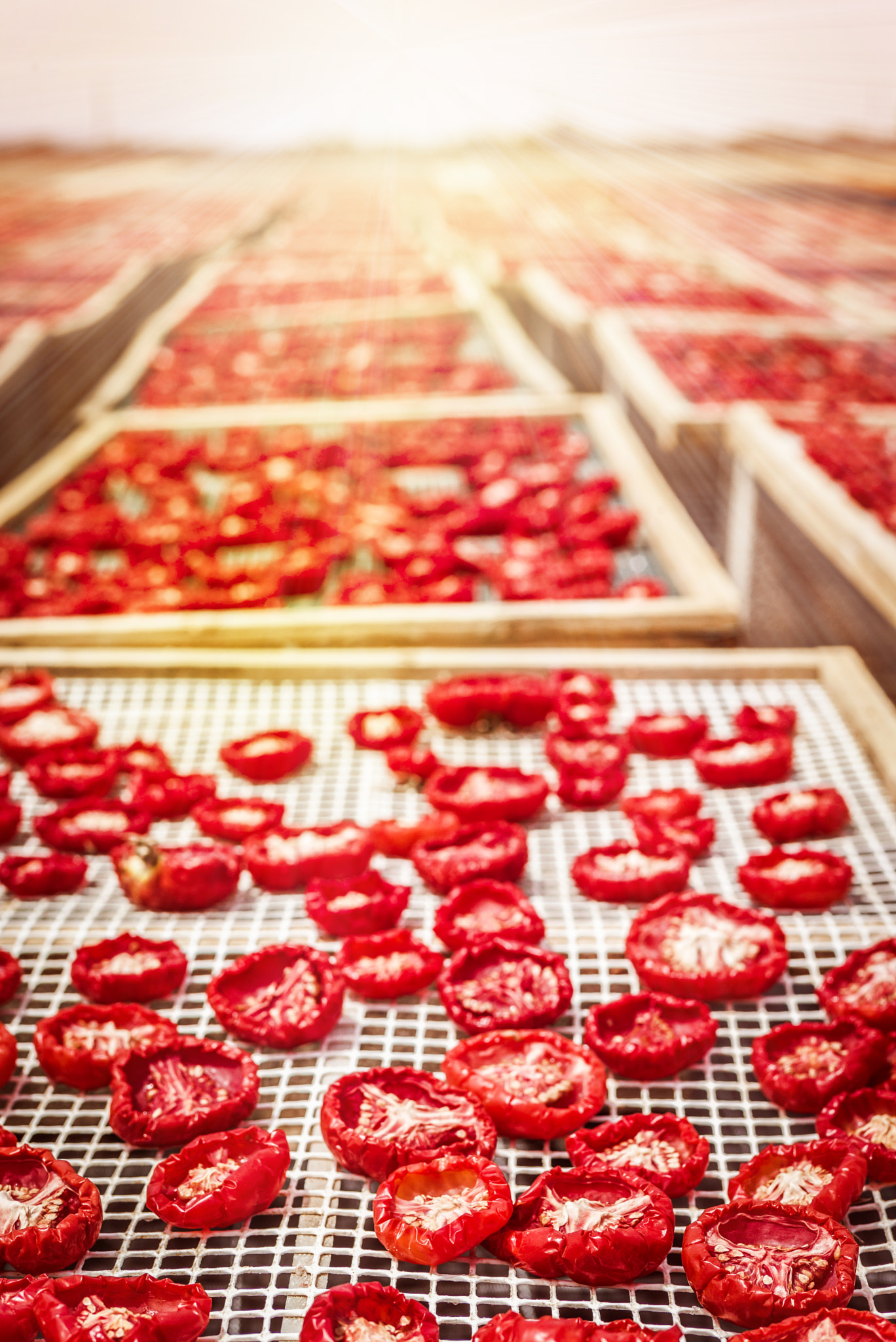 Summicron 1:2/50 Leitz sample photo. Sun dried tomatoes in sicily photography