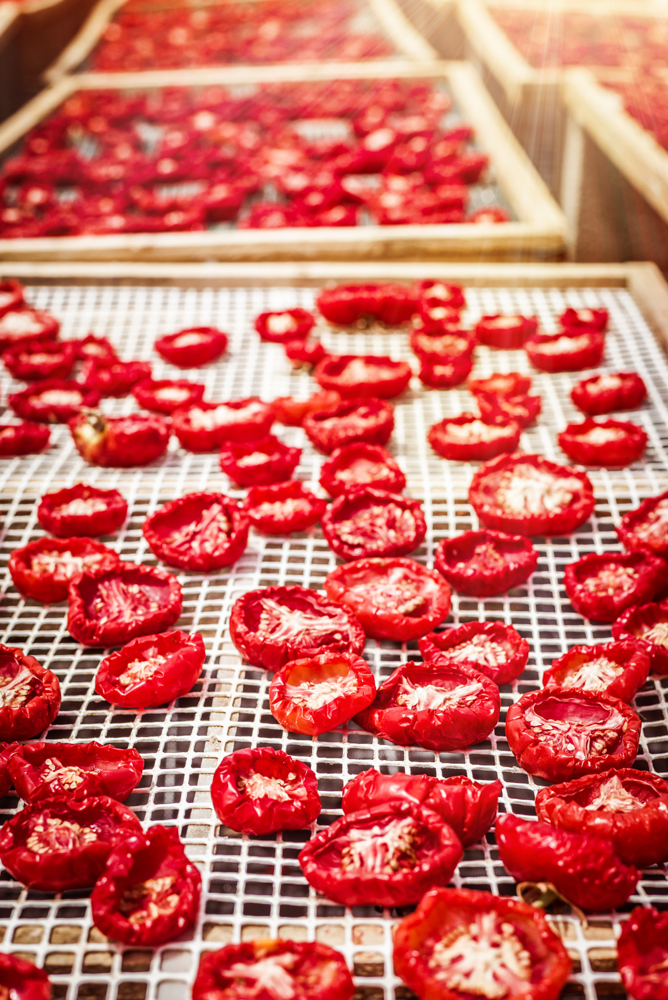 Summicron 1:2/50 Leitz sample photo. Sun dried tomatoes in sicily photography