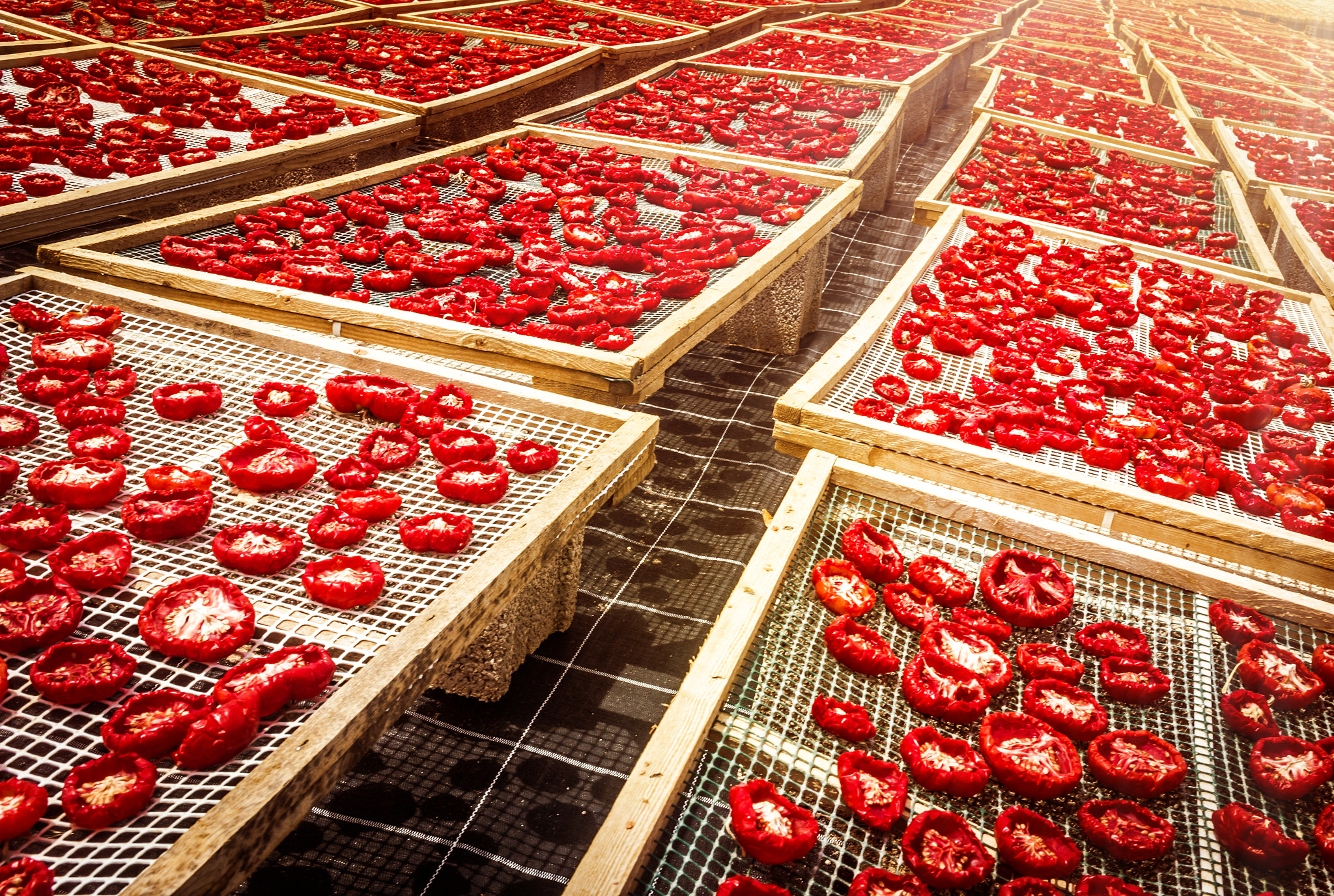 Summicron 1:2/50 Leitz sample photo. Sun dried tomatoes in sicily photography