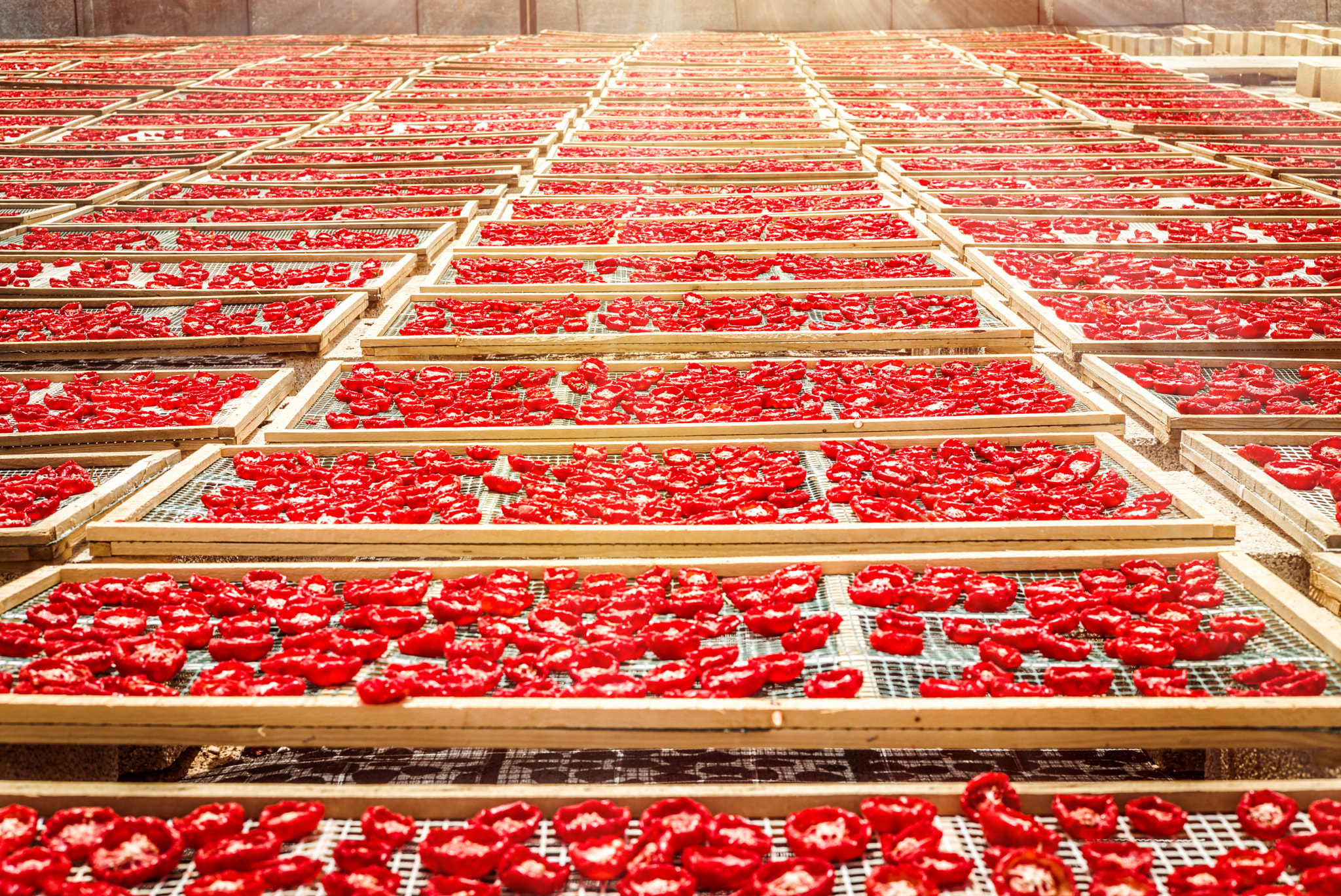 Summicron 1:2/50 Leitz sample photo. Sun dried tomatoes in sicily photography