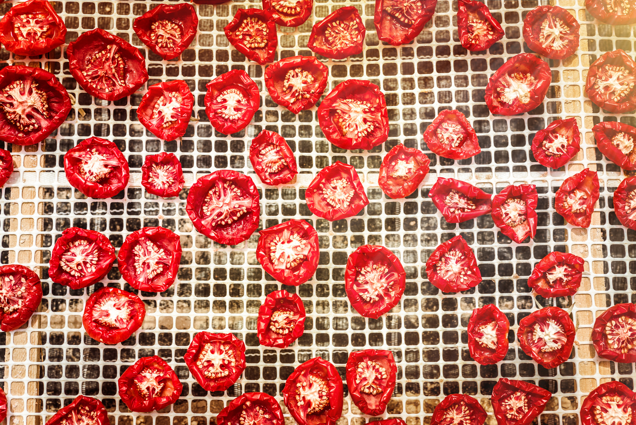Summicron 1:2/50 Leitz sample photo. Sun dried tomatoes in sicily photography