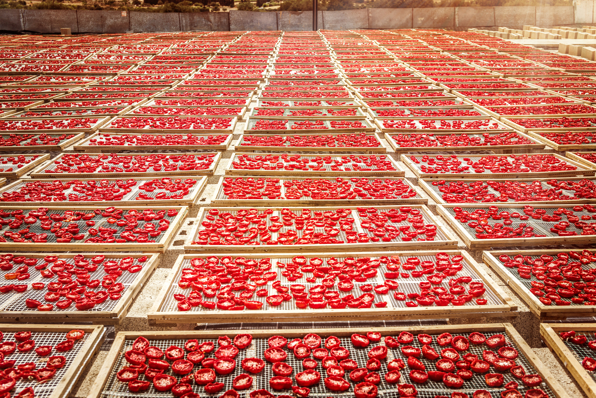 Summicron-M 1:2/35 ASPH. sample photo. Sun dried tomatoes in sicily photography