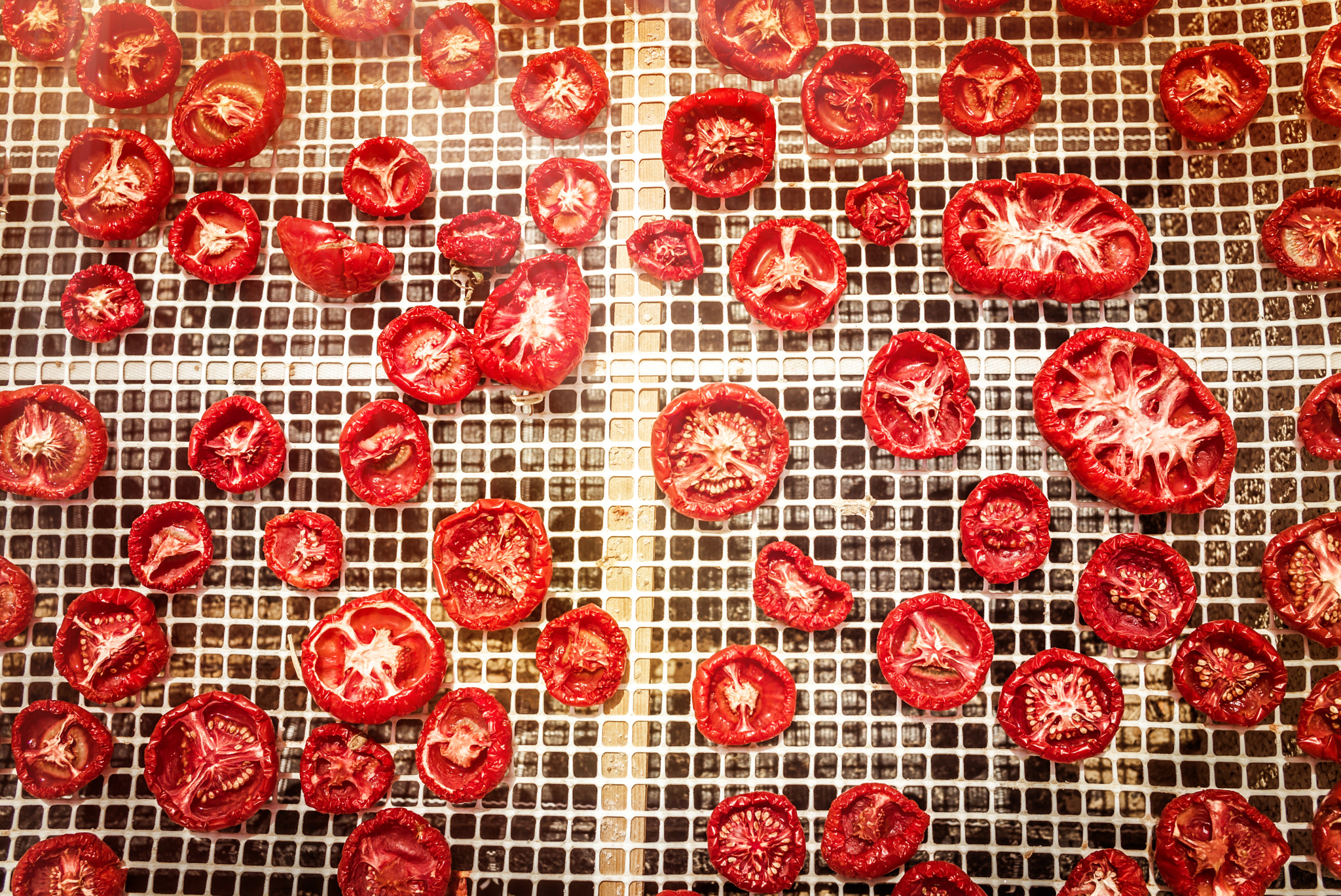Summicron-M 1:2/35 ASPH. sample photo. Sun dried tomatoes in sicily photography
