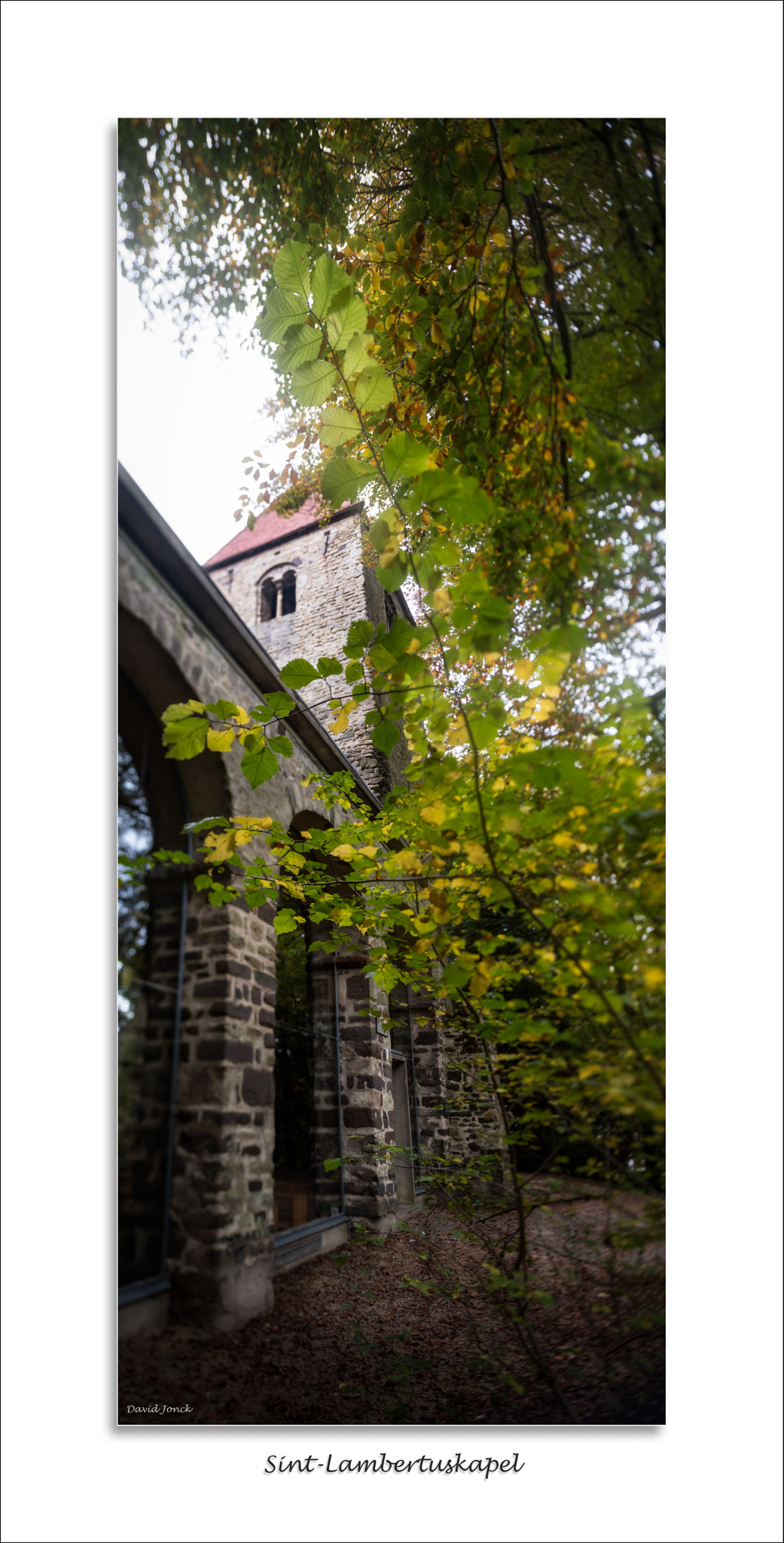 Nikon D750 + Nikon PC-E Nikkor 24mm F3.5D ED Tilt-Shift sample photo. Sint-lambertuskapel - kasteelpark arenberg photography