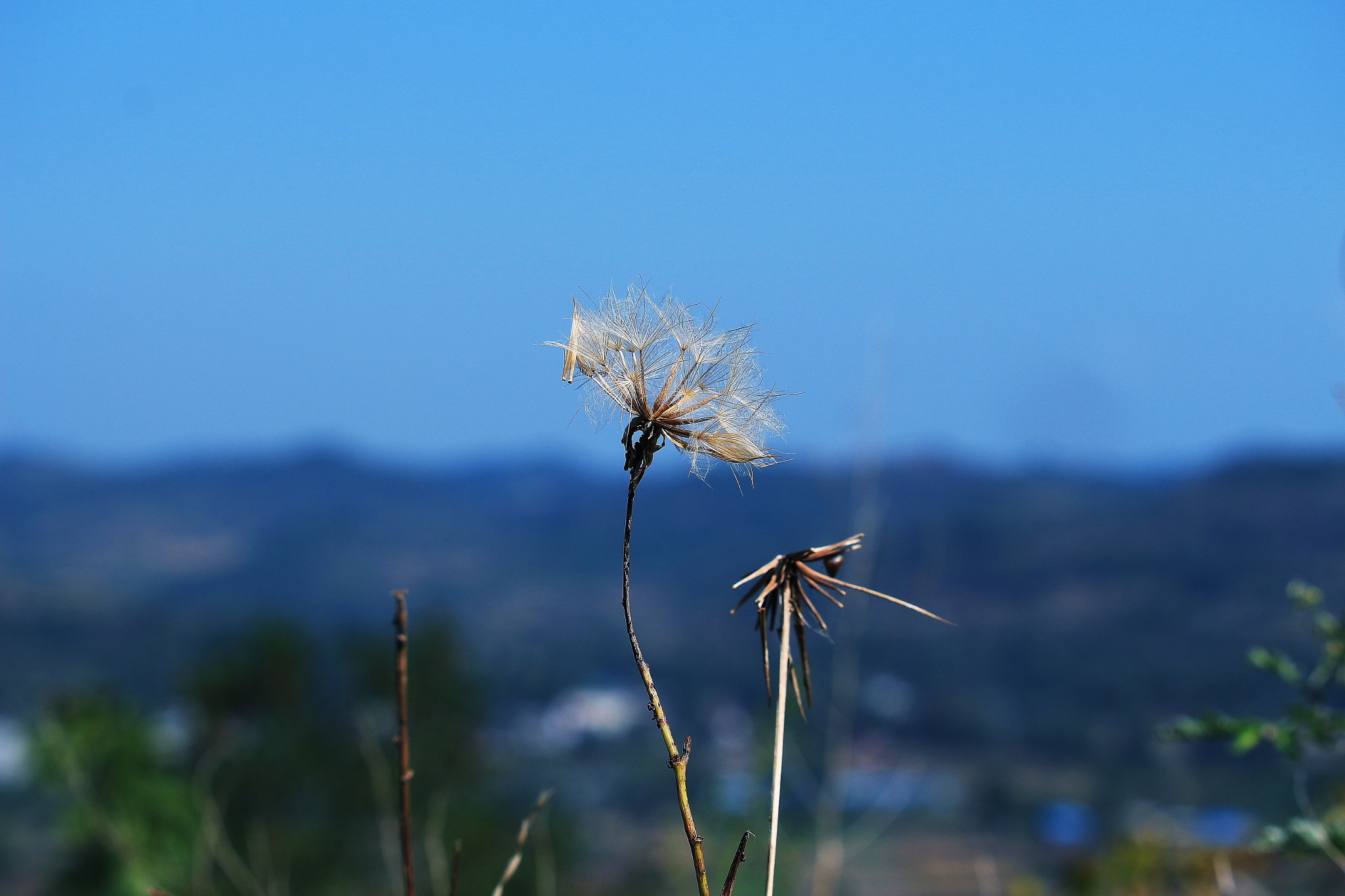 Canon EF-S 55-250mm F4-5.6 IS STM sample photo
